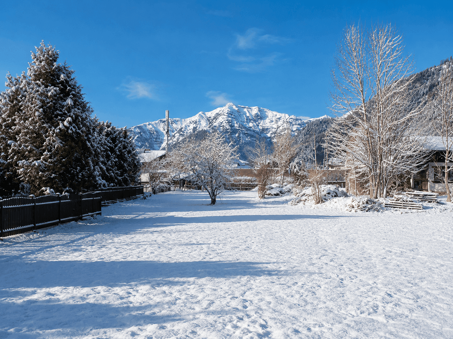 Idyllische Winterlandschaft mit schneebedeckter Wiese, Bäumen und majestätischem Bergblick.