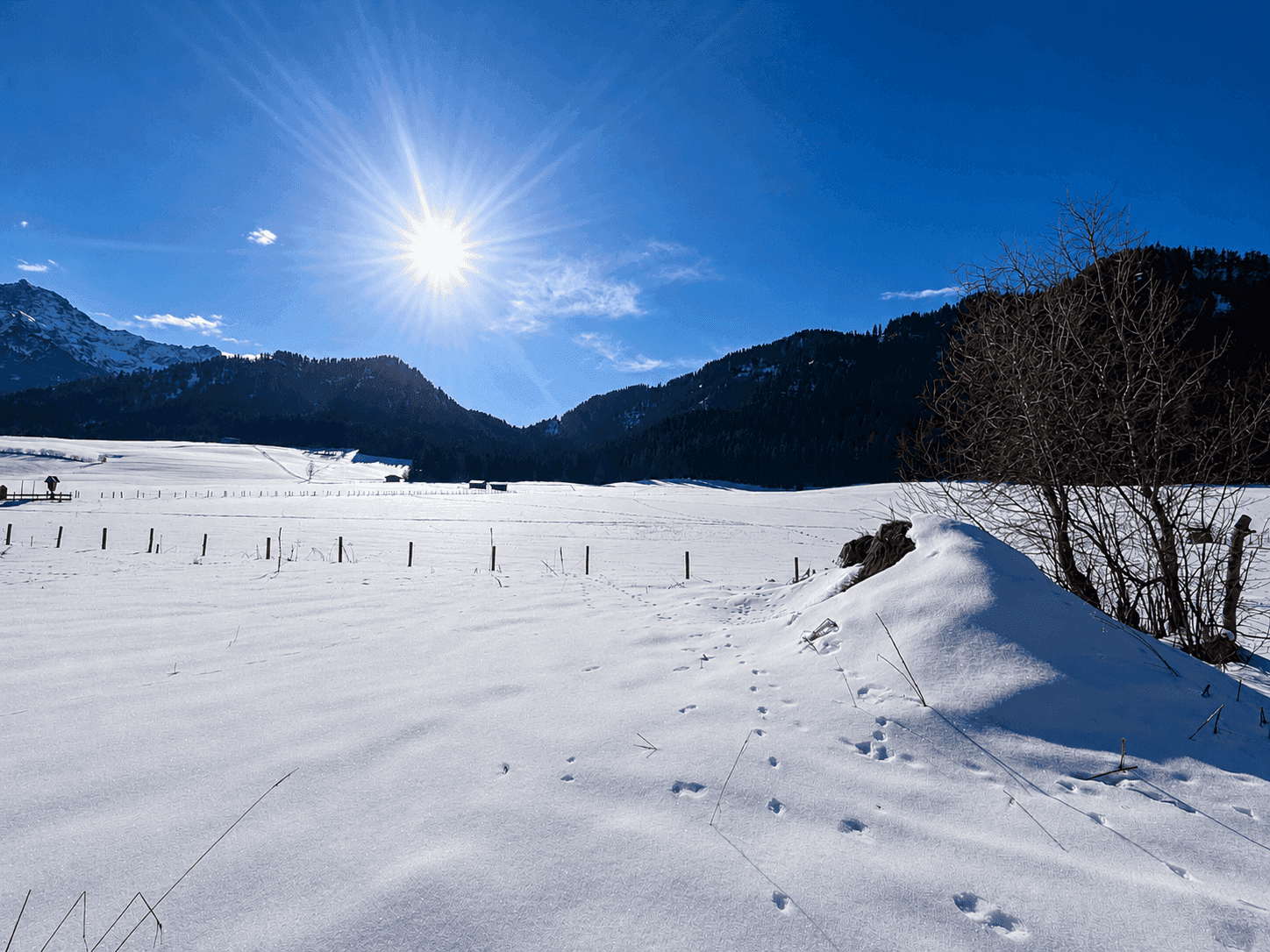 Weite, verschneite Landschaft mit strahlendem Sonnenschein und majestätischen Bergen im Hintergrund.