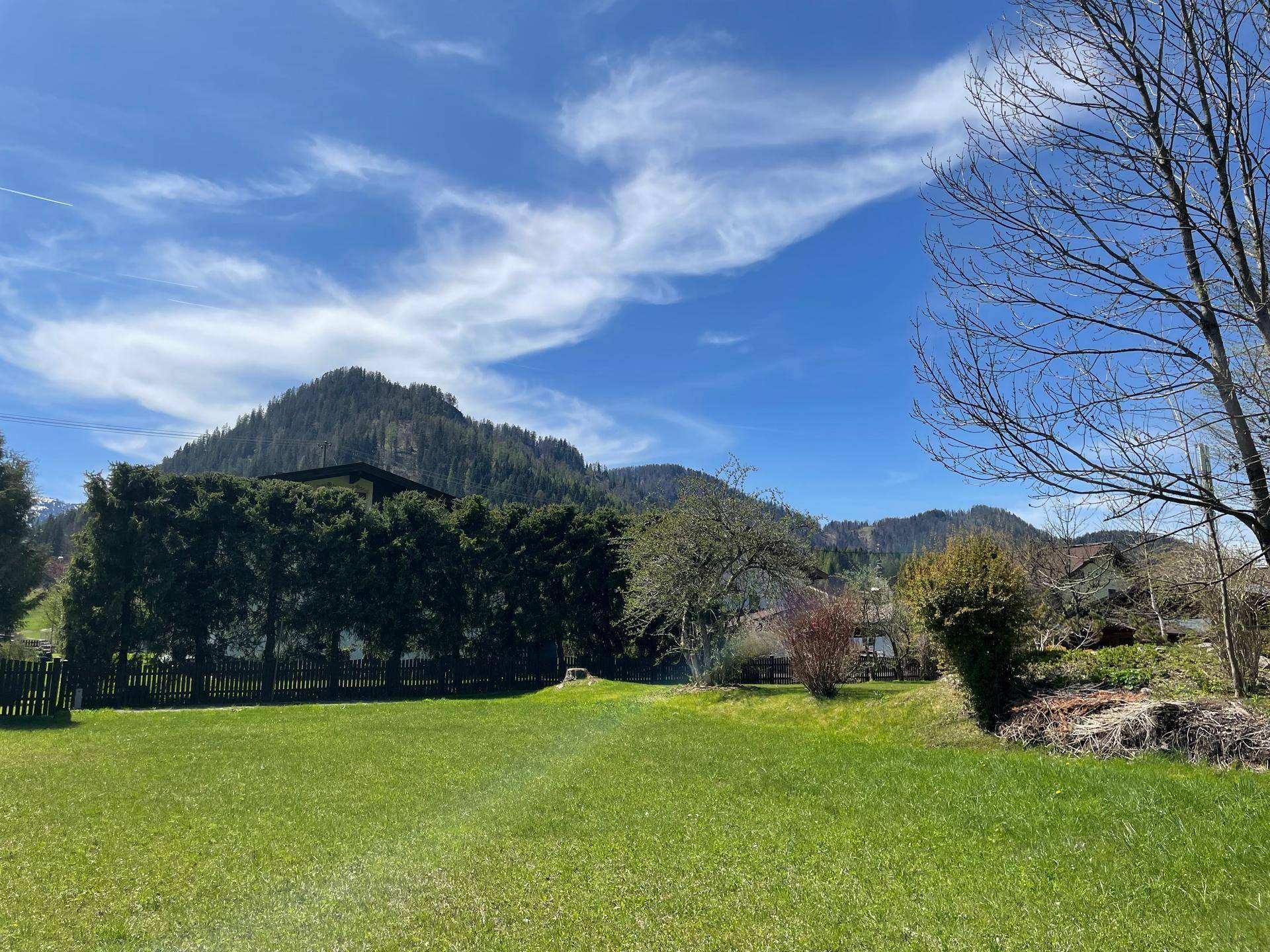 Sonnige grüne Wiese mit hohen Hecken und Bäumen vor bewaldeten Hügeln unter blauem Himmel.