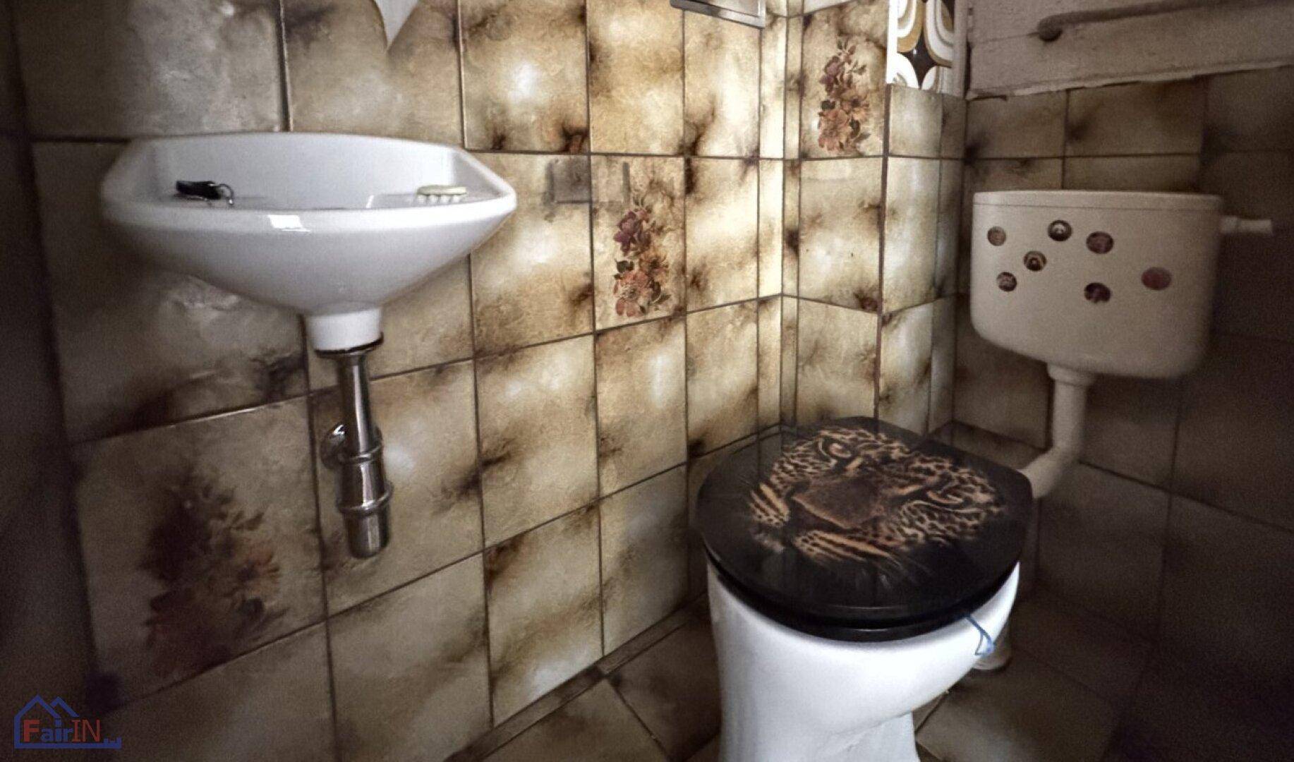 Separates WC mit Waschbecken und einem auffälligen Toilettendeckel, umgeben von alten Fliesen.