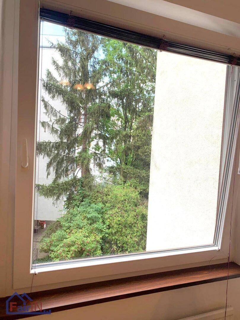 Fenster mit Blick auf grüne Bäume und die umliegende Bebauung.