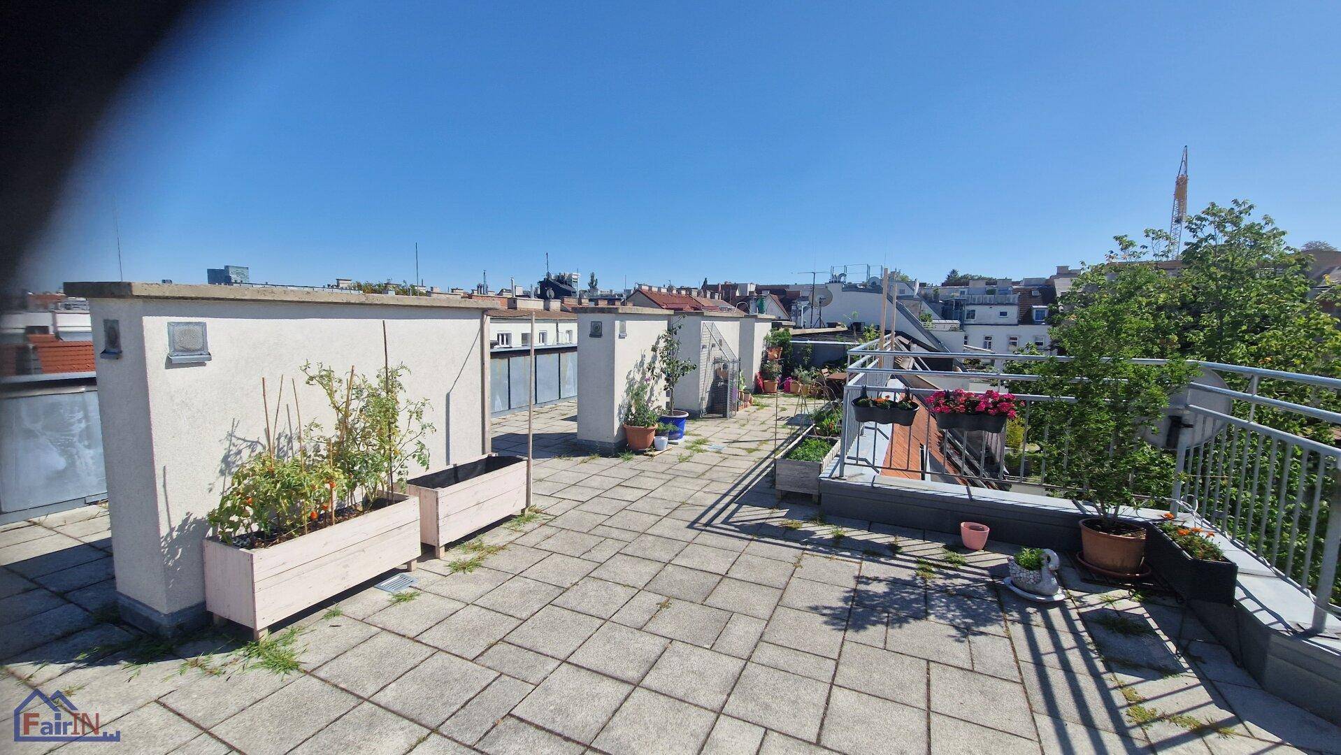 Geräumige Dachterrasse mit Pflanzenkübeln und Panoramablick über die Stadt.