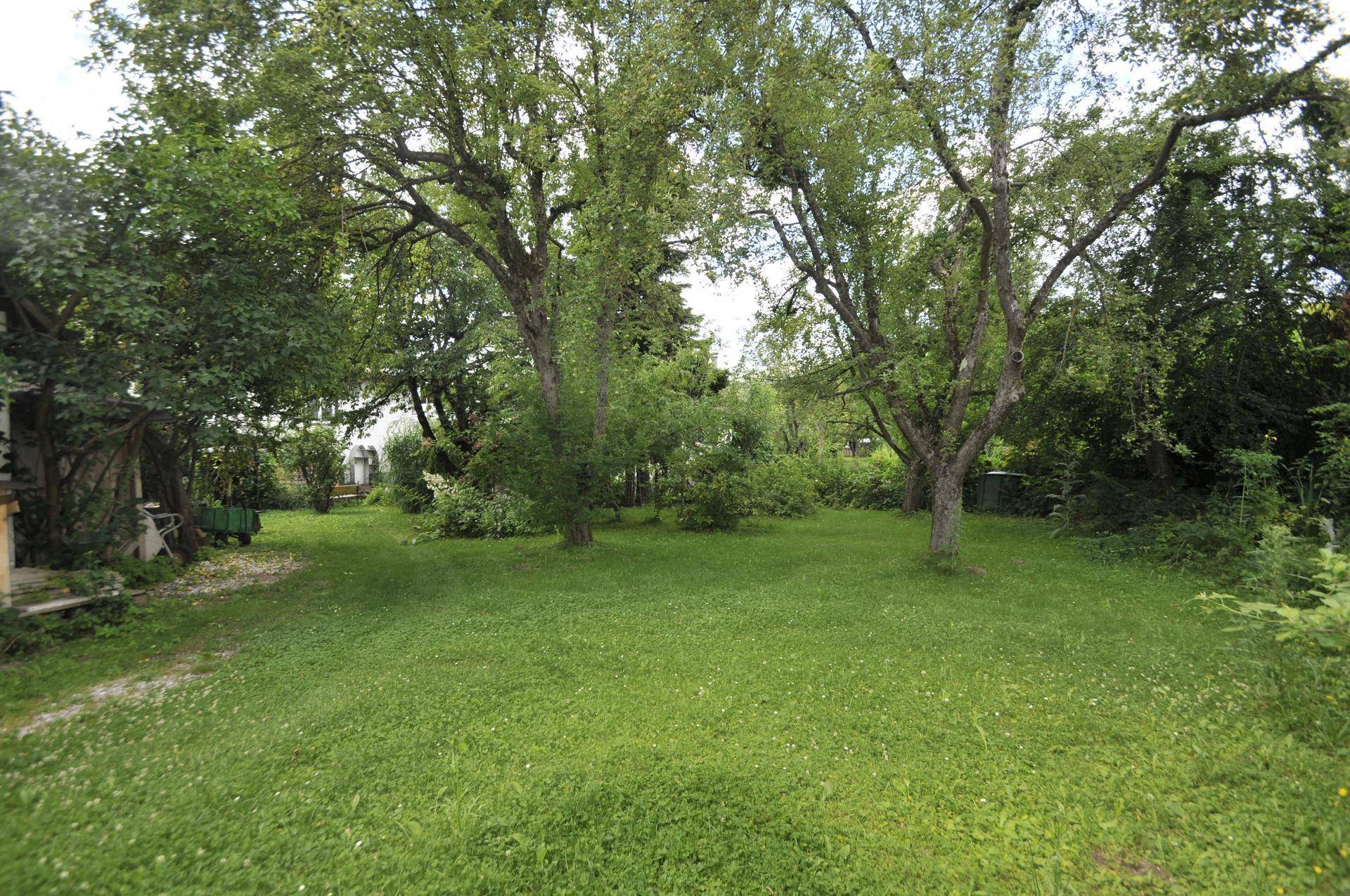 Weitläufiger Garten mit großer Rasenfläche und altem Baumbestand, ideal zum Entspannen.