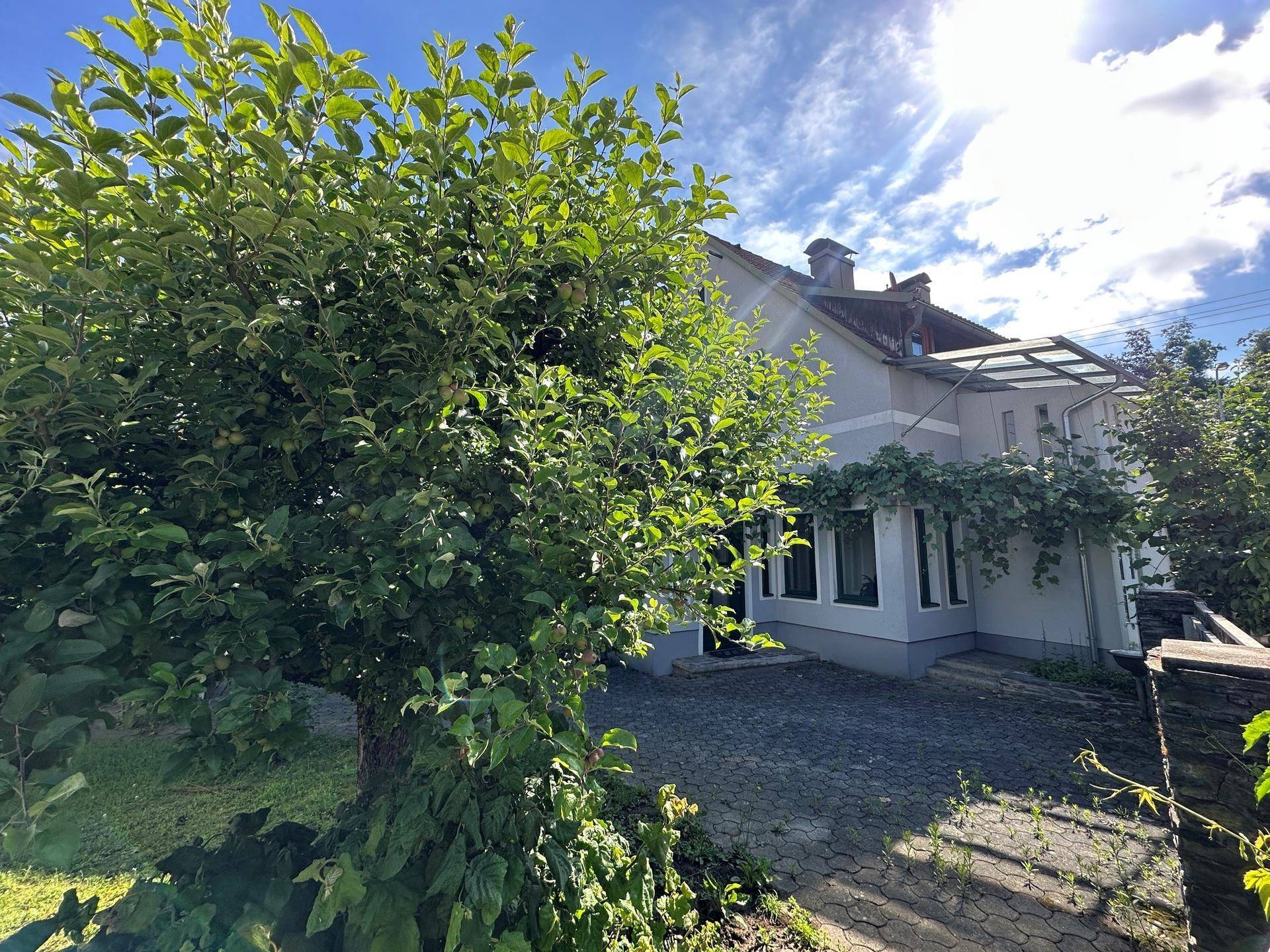 Vorderansicht des Hauses mit einem großen Baum und gepflastertem Vorplatz an einem sonnigen Tag.