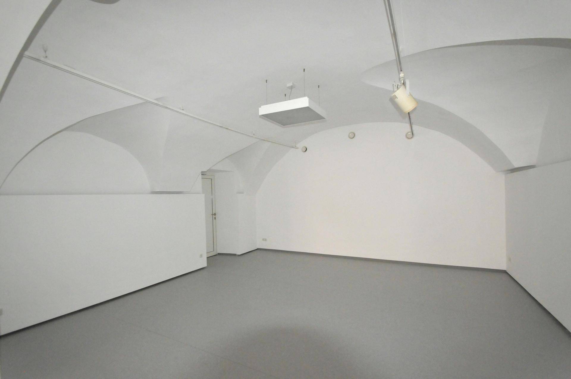 Weitläufiger Gewerberaum mit markanten Gewölbedecken und moderner Schienenbeleuchtung.