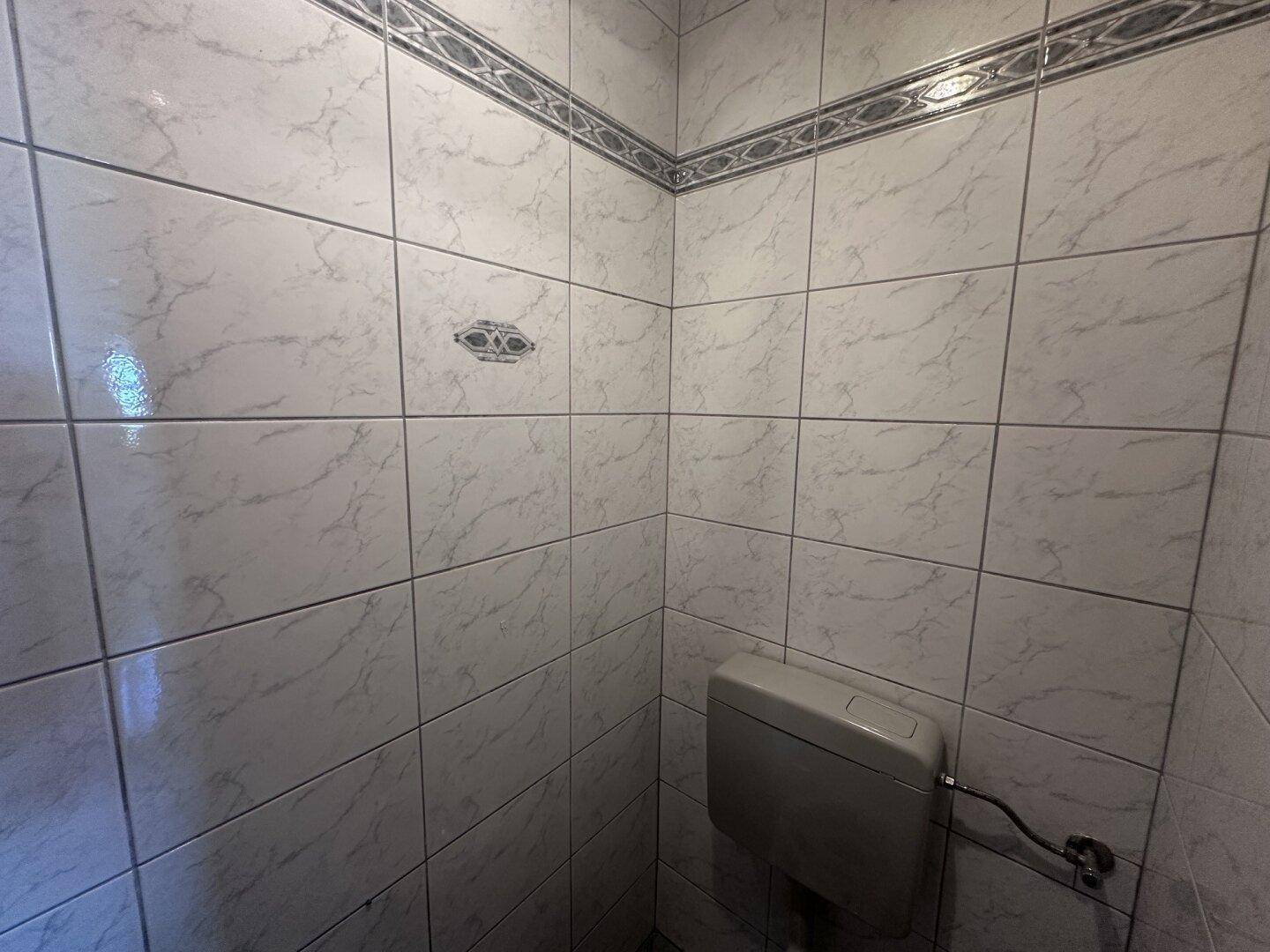 Kleines WC mit weißen Fliesen und einem einfachen Spülkasten.