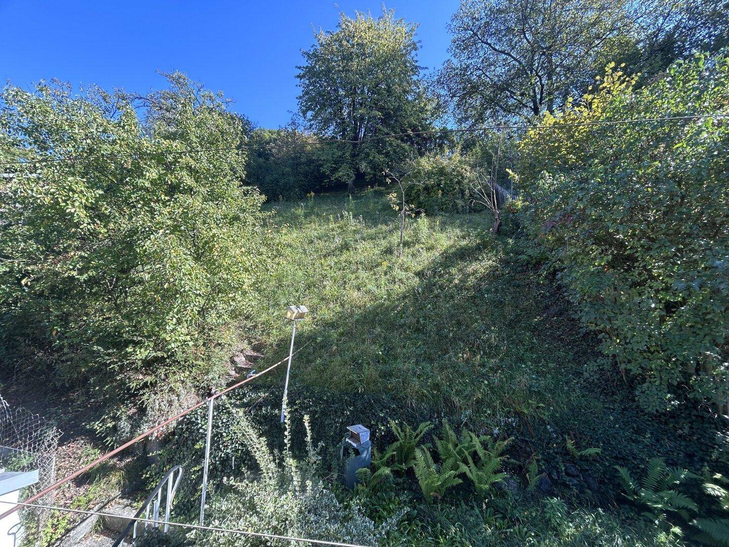Großer, naturbelassener Gartenbereich mit steilem Hang und vielen Bäumen und Sträuchern.