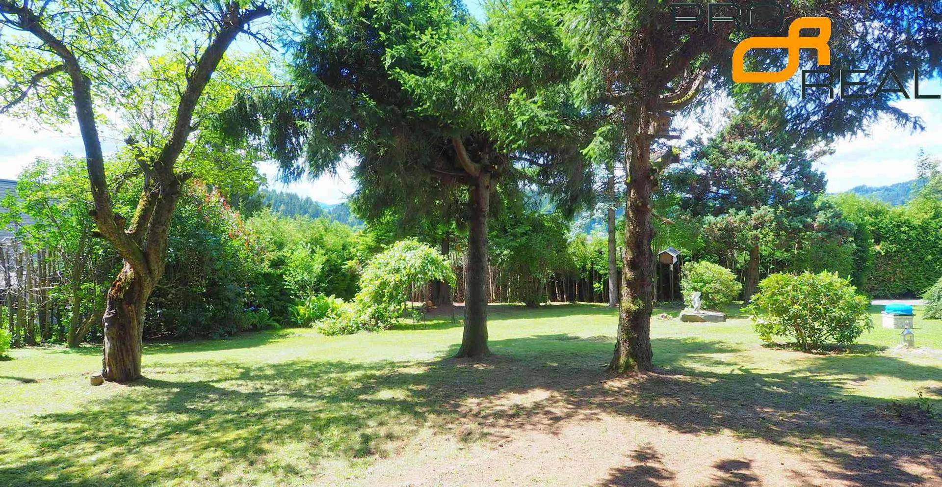 Heller, weitläufiger Garten mit Rasenfläche und verschiedenen Bäumen und Sträuchern.