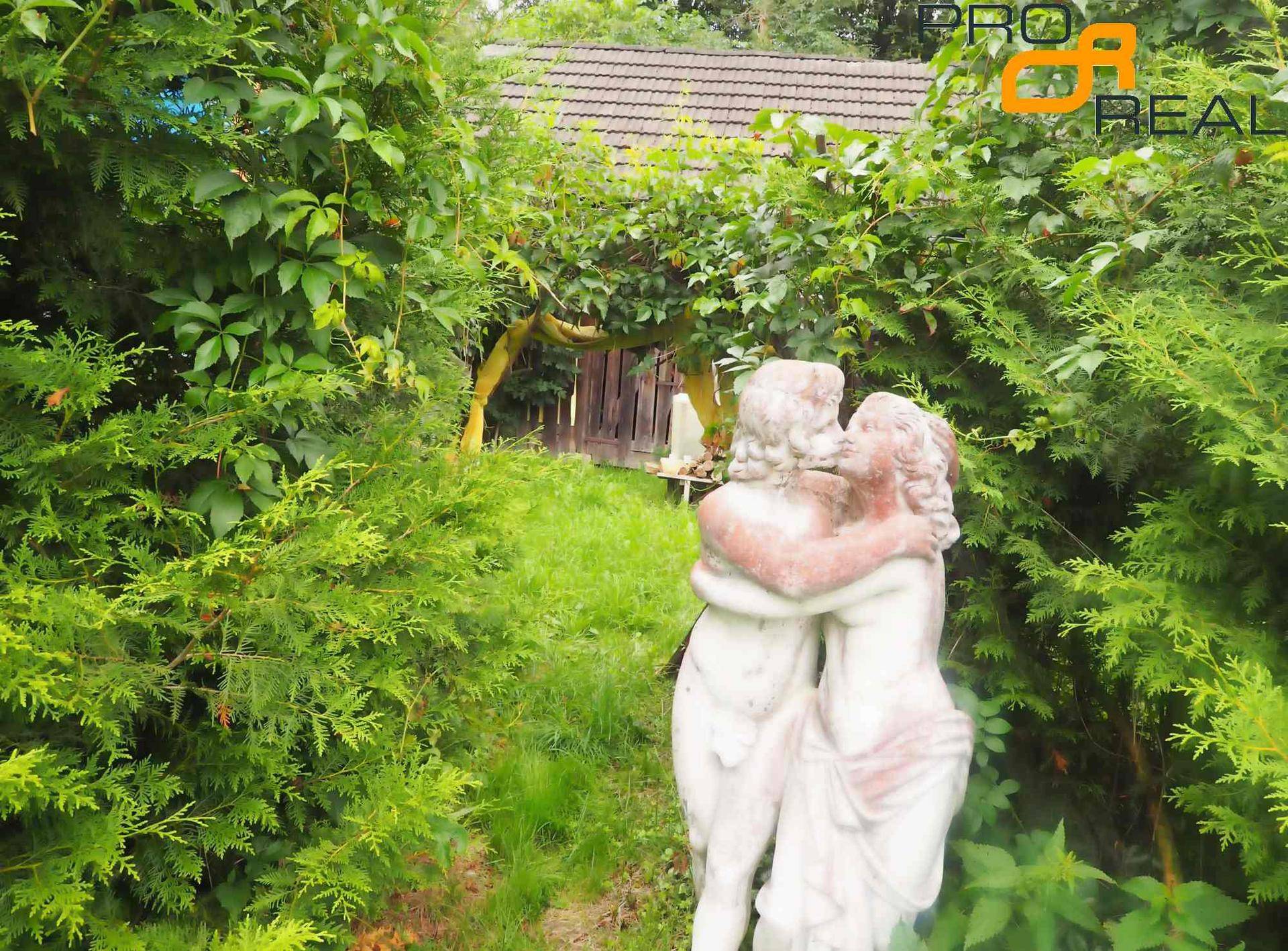 Garten1