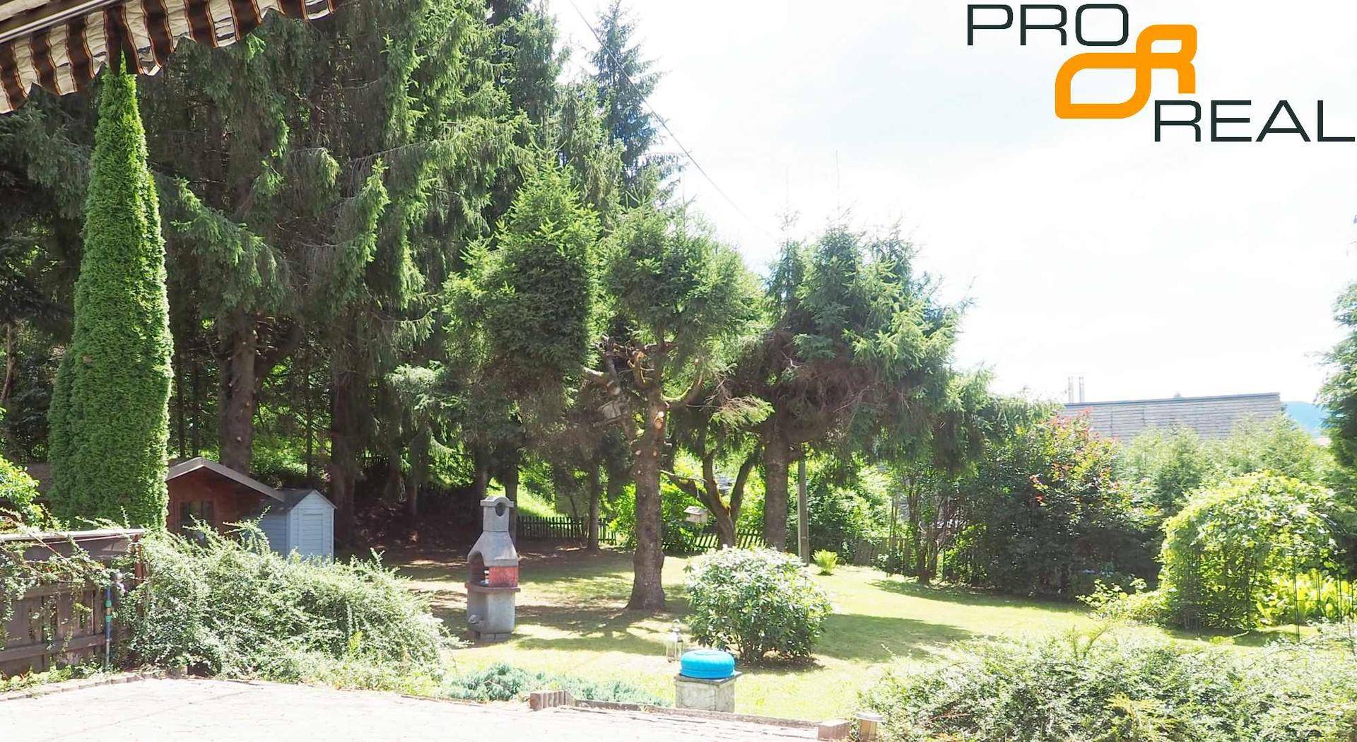 Sonniger Garten mit Grillplatz und üppiger Vegetation, teilweise von einer Terrasse aus gesehen.