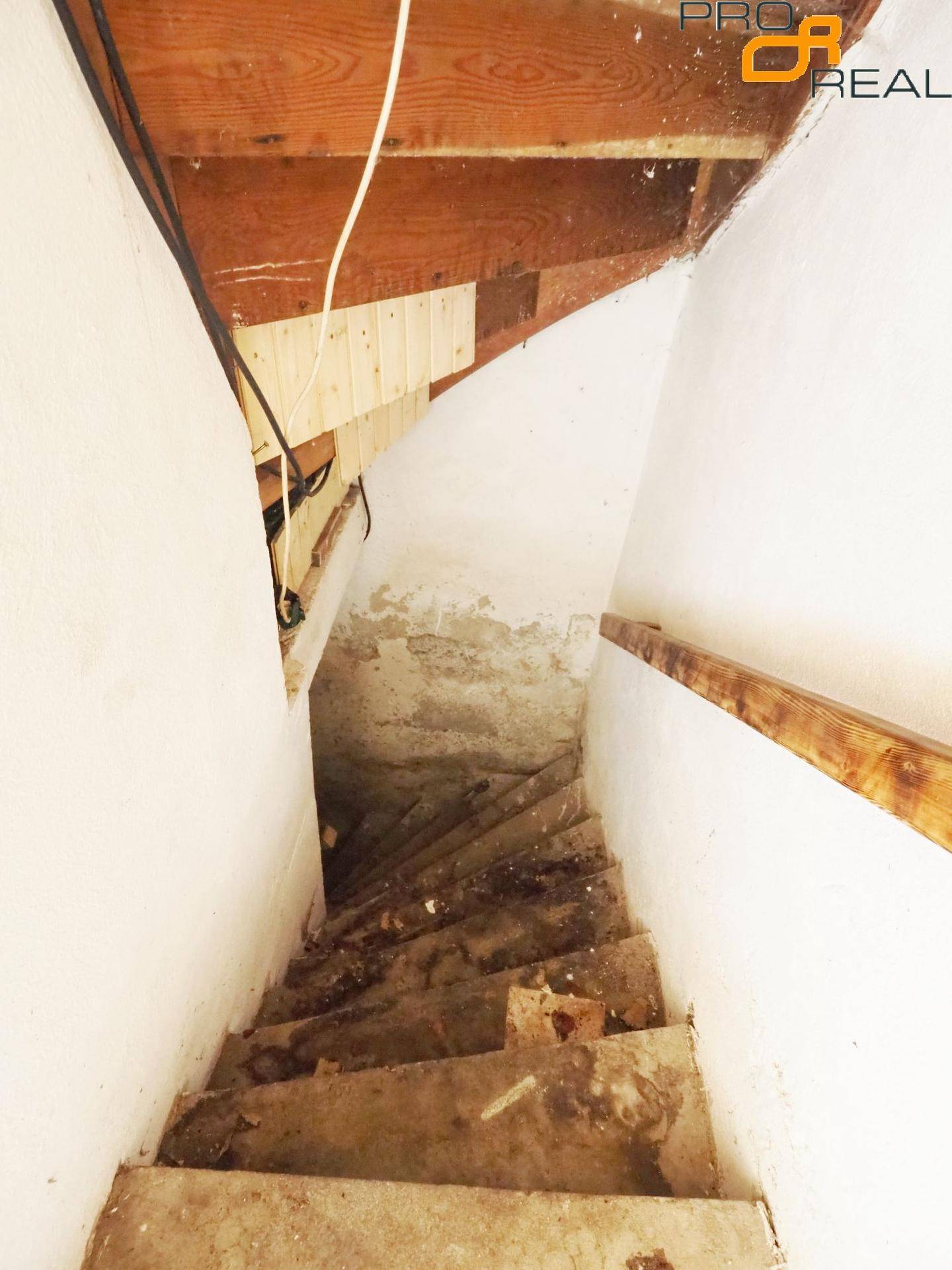 Unfertiger Kellerraum mit Betontreppe und sichtbaren Holzstrukturen.