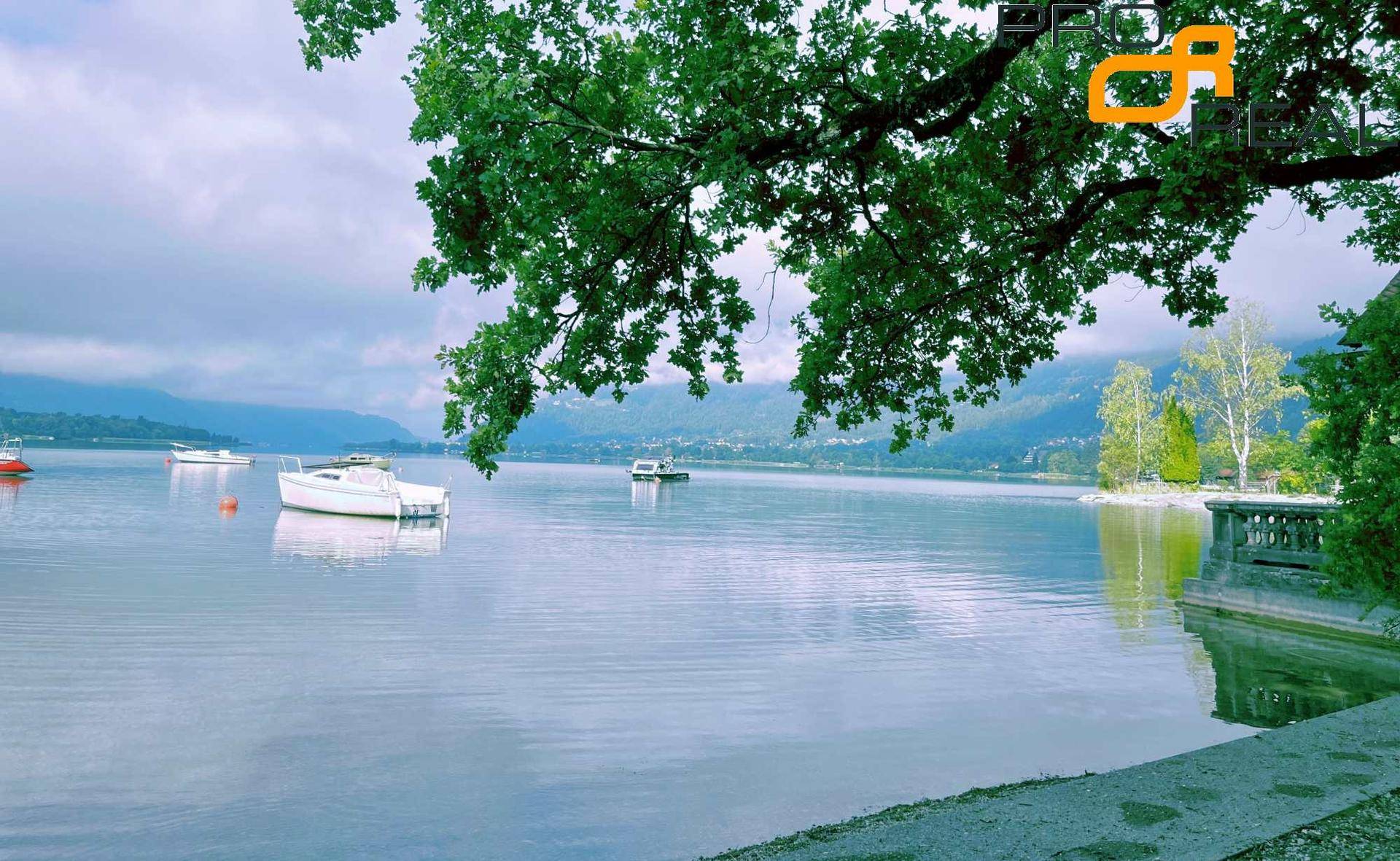 Malerischer Blick auf den See mit mehreren Booten, umrahmt von grünen Ästen und Bergen im Hintergrund.