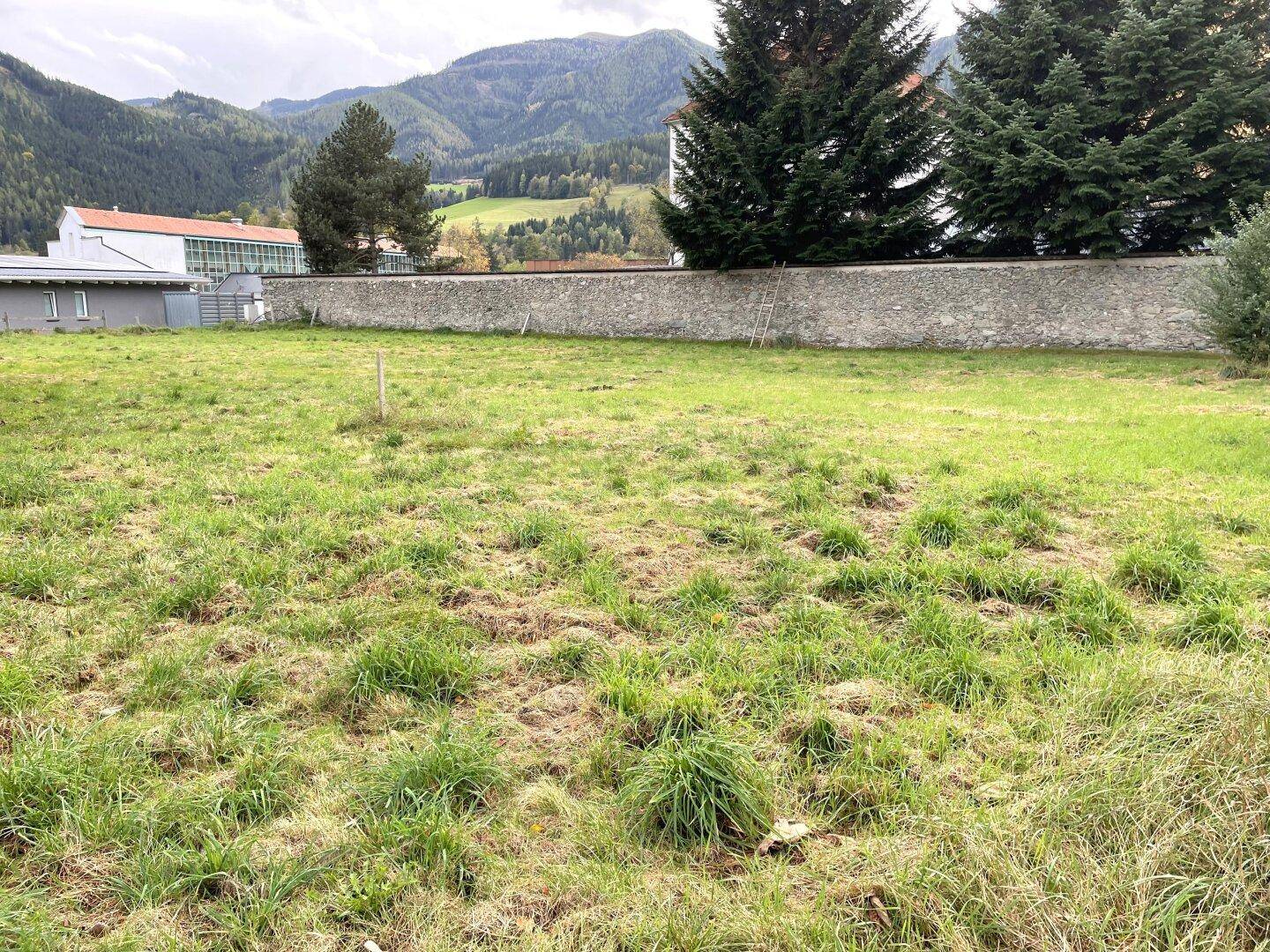 Offenes Grundstück mit Grasfläche, umgeben von Natur und einer traditionellen Steinmauer.