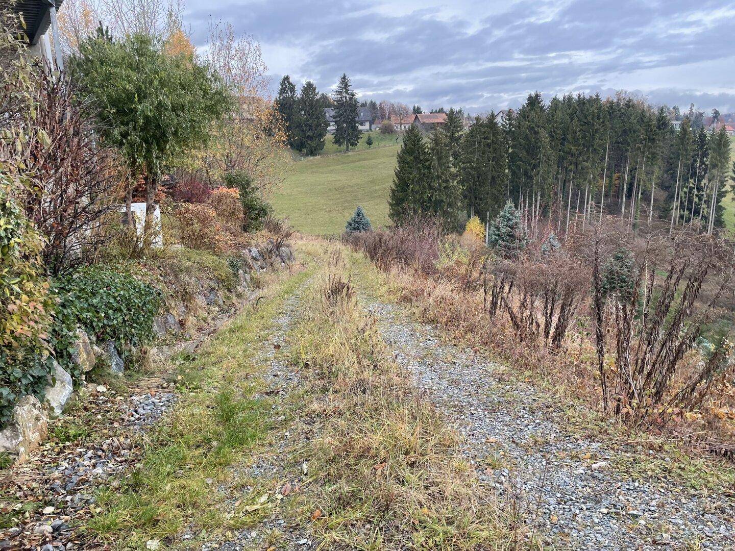 Schotterweg durch eine ländliche Landschaft mit Wiesen, Bäumen und vereinzelten Häusern im Hintergrund.