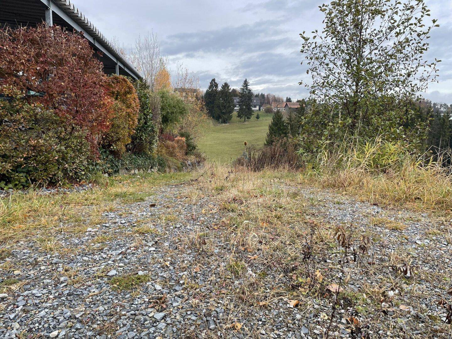 Schotterweg führt einen Hang hinunter, umgeben von herbstlicher Vegetation und Bäumen unter bewölktem Himmel.
