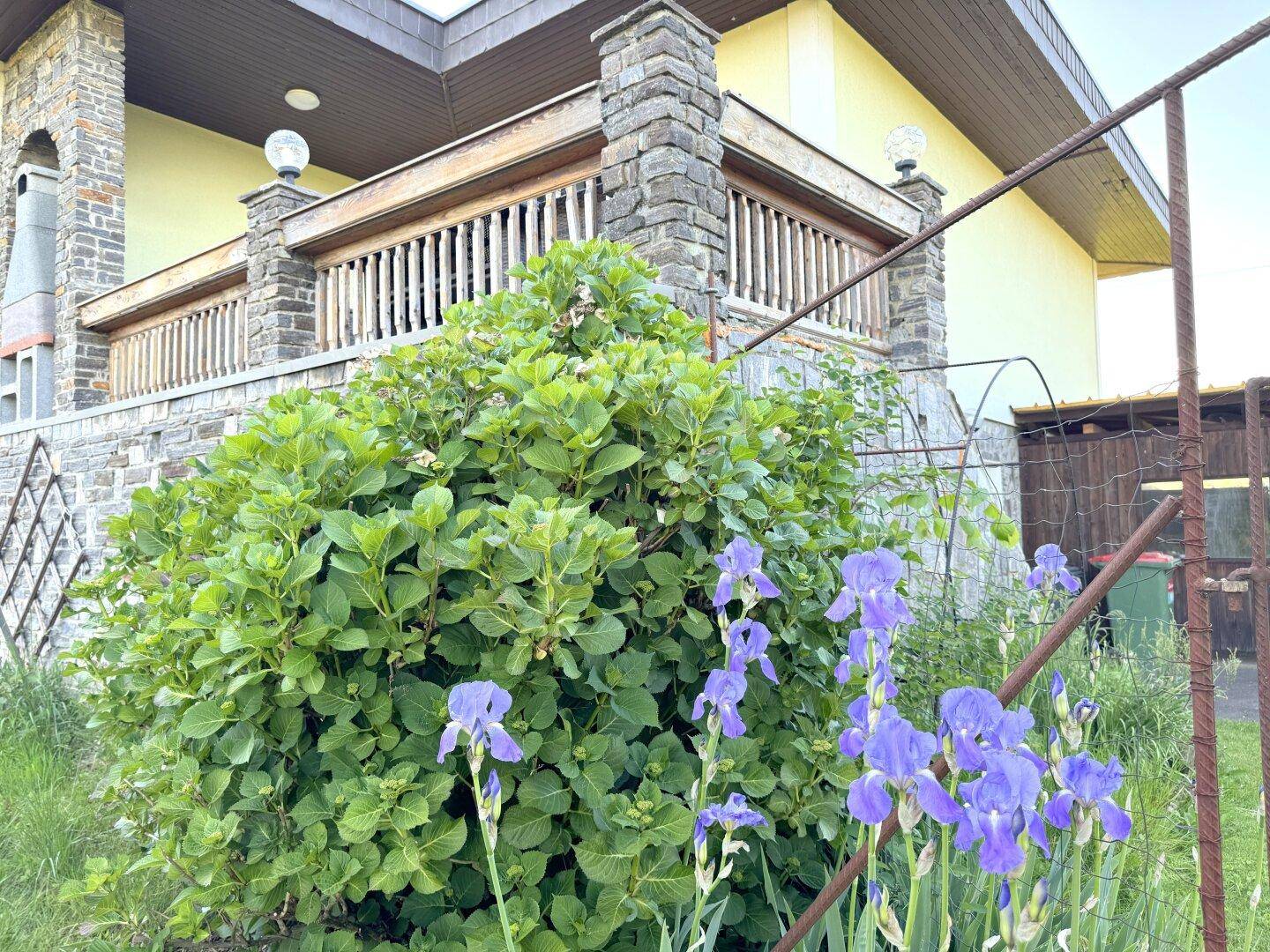 Fassade eines Hauses mit Steinelementen und einem Balkon, umgeben von üppigem Grün und Irisblüten.