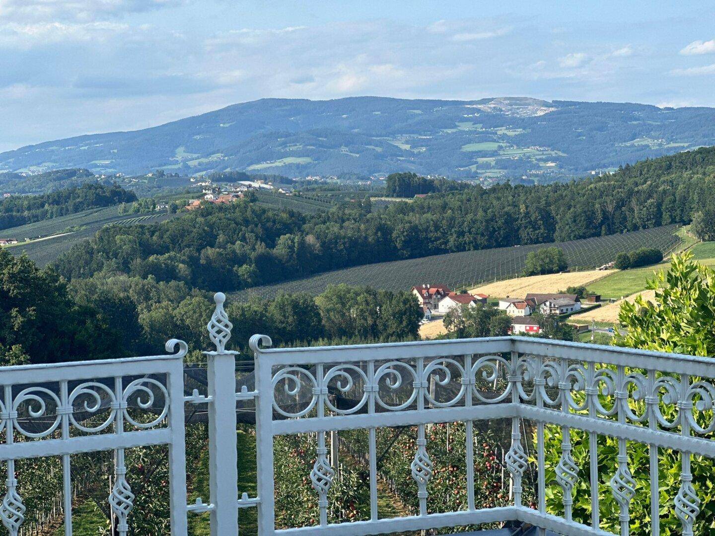Weitläufiger Panoramablick über eine hügelige Landschaft mit Obstplantagen und Bergen.