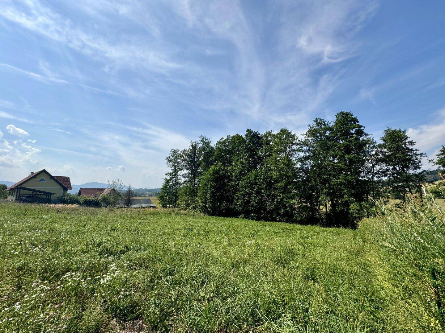 Idyllische Landschaft mit weitem Feld, Bäumen und einem Haus am Horizont unter blauem Himmel.