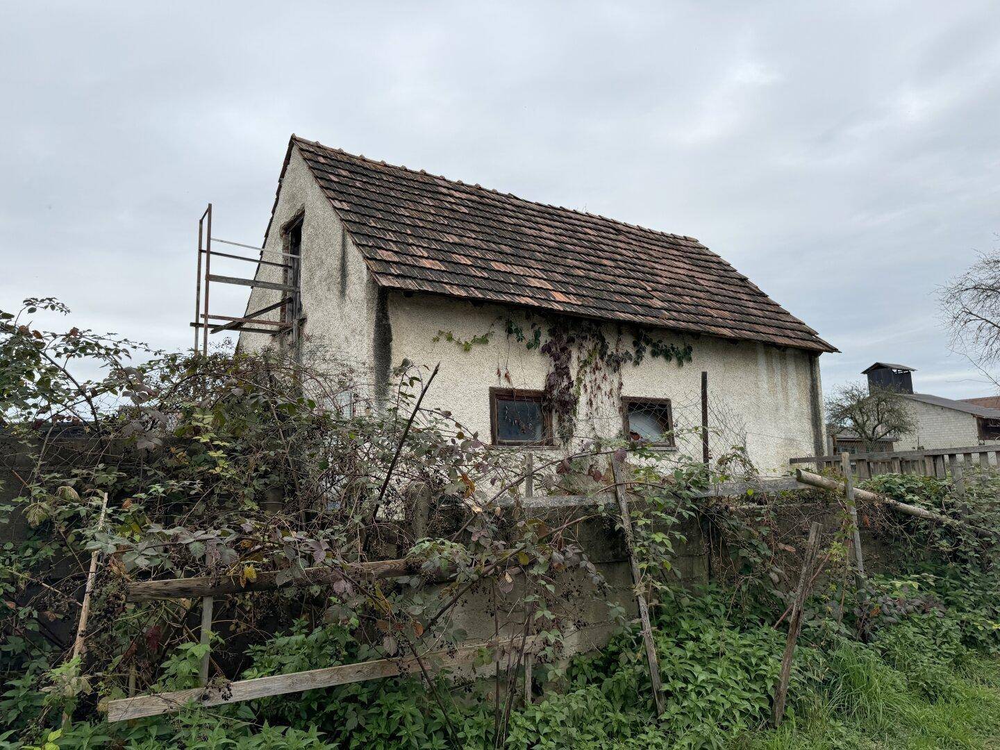 Einfamilienhaus mit großem Grundstück – auch für Landwirtschaft &amp; Anleger interessant, Pferdehaltung - Ansicht 4