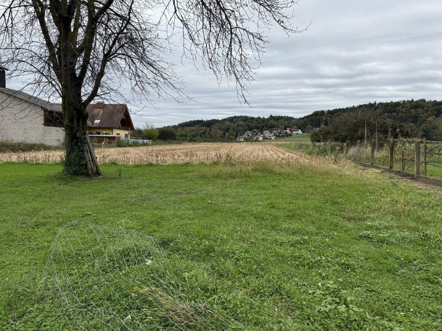 Einfamilienhaus mit großem Grundstück – auch für Landwirtschaft &amp; Anleger interessant, Pferdehaltung - Ansicht 5