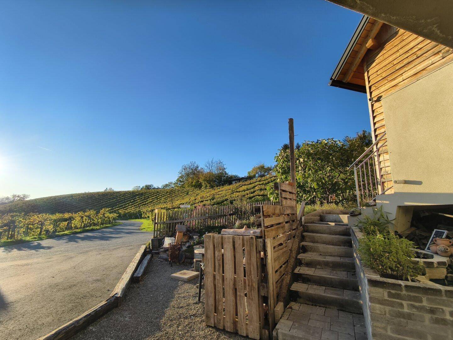 Seitenansicht des Hauses mit Holzfassade, Steintreppe und Blick auf die umliegenden Weinberge.