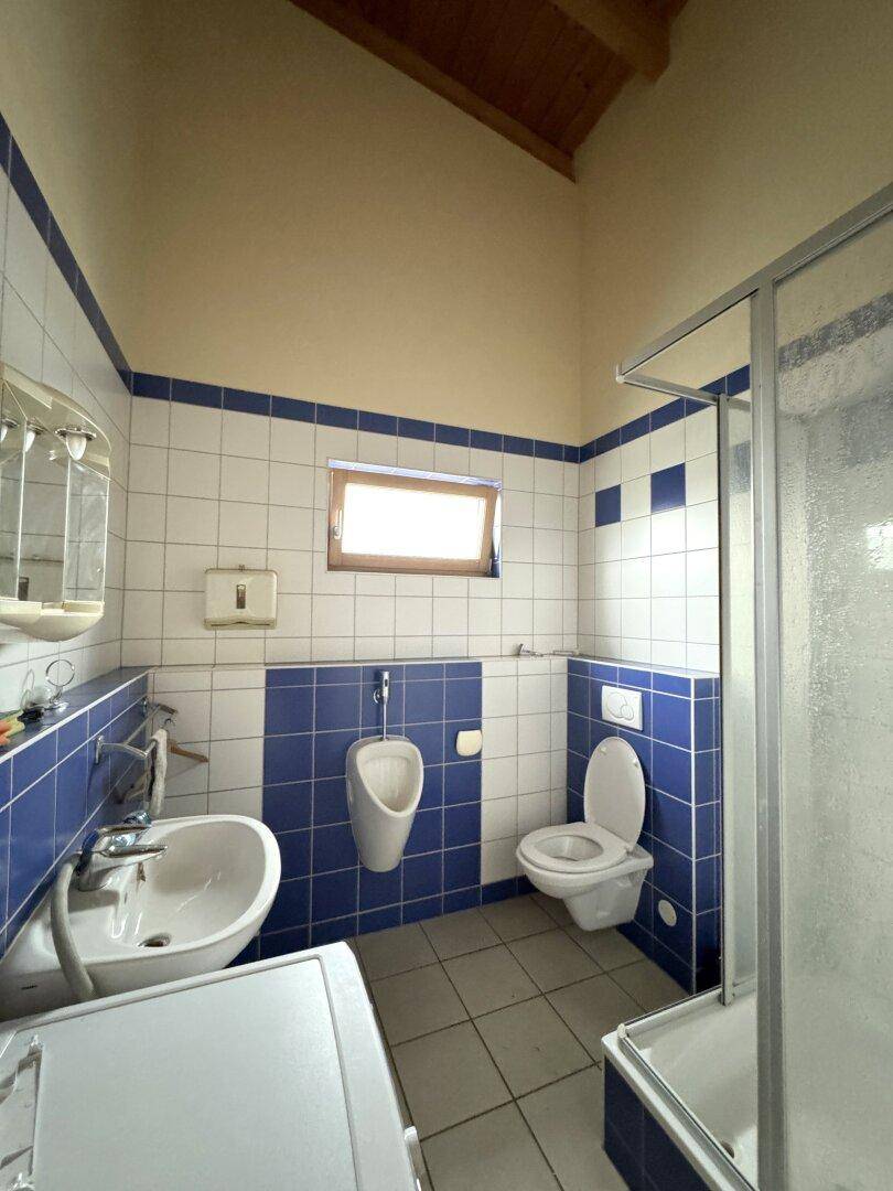 Badezimmer mit blauen und weißen Fliesen, Waschbecken, Urinal, Toilette und Duschkabine.
