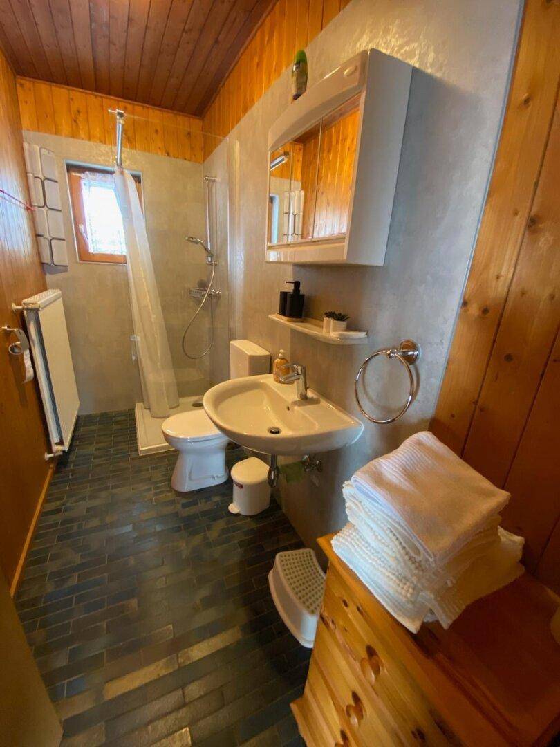 Modernisiertes Badezimmer mit Dusche, Waschbecken und Spiegelschrank, teilweise holzvertäfelt.