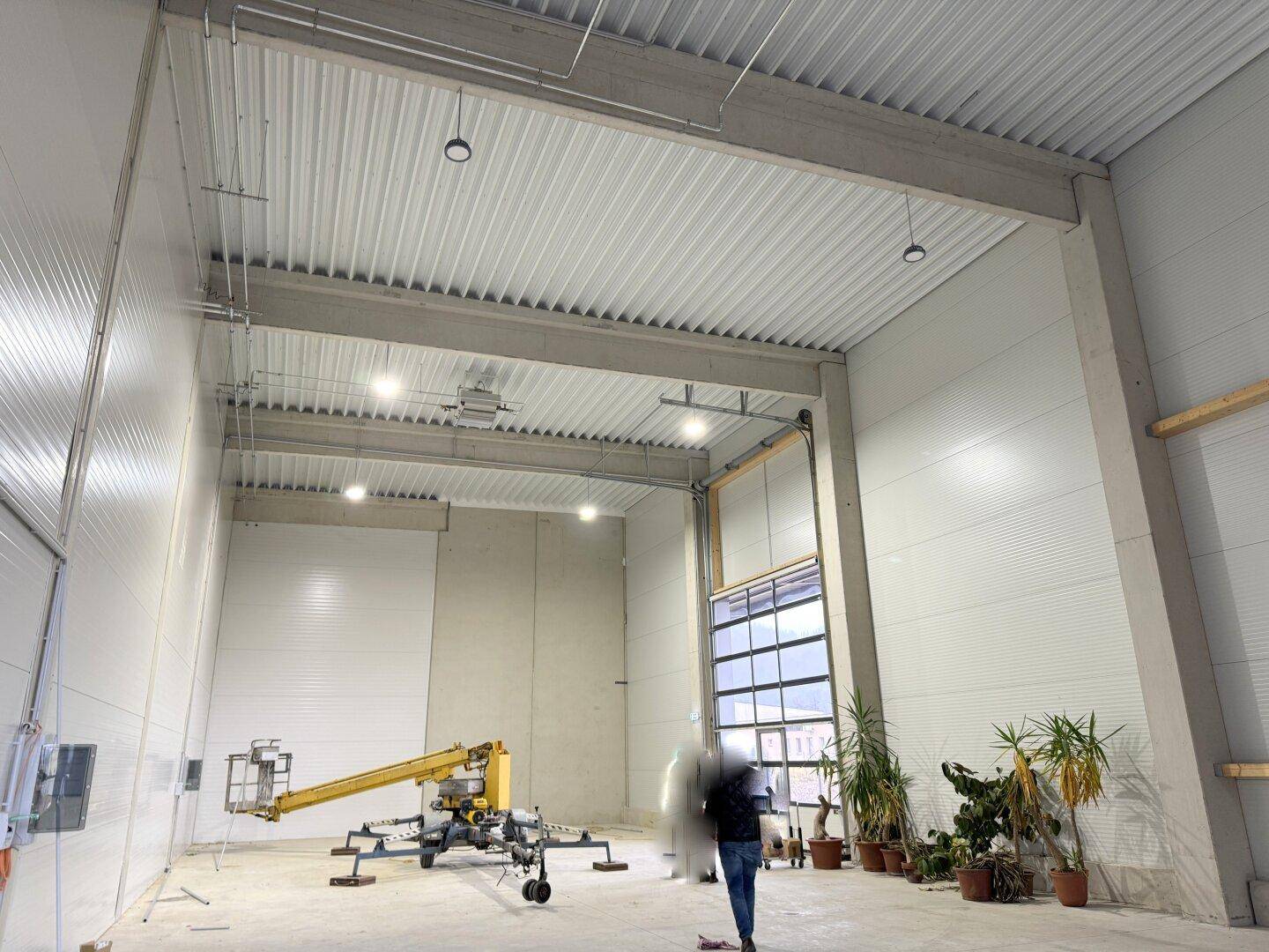 Hohe Lagerhalle mit Rolltoren, Betonboden und Pflanzen als Dekoration.