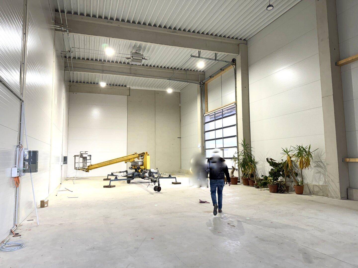 Hohe Lagerhalle mit Rolltoren, Betonboden und Pflanzen als Dekoration.