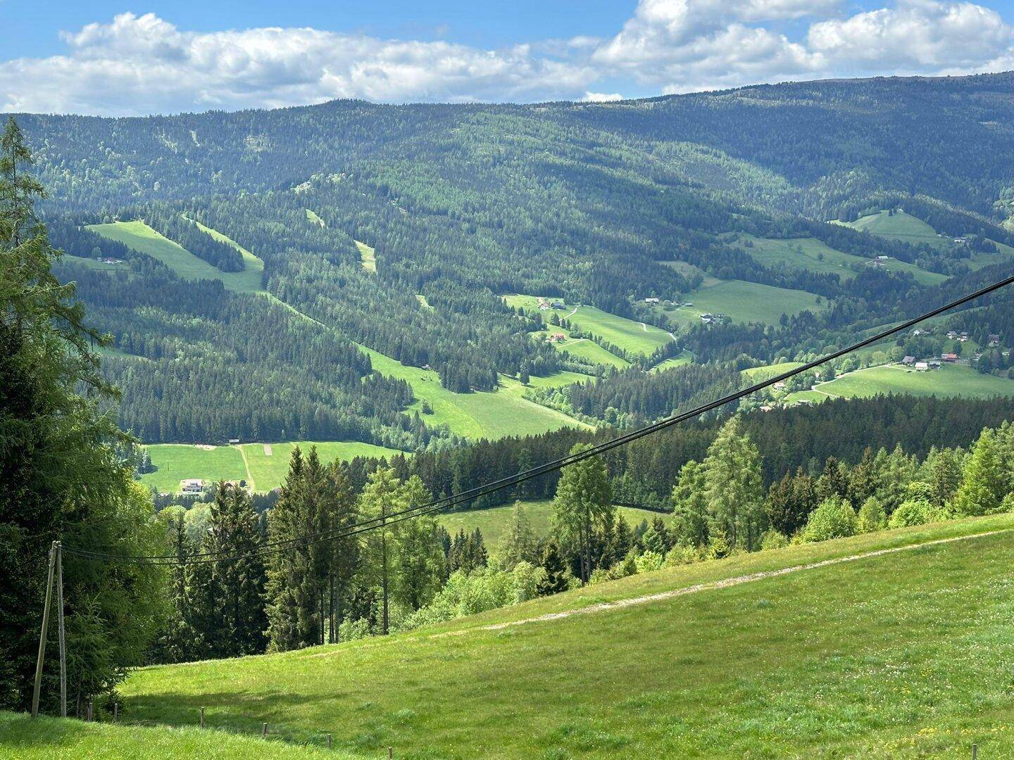 Panoramablick auf die sanften grünen Hügel und Täler mit vereinzelten Häusern in der Ferne.