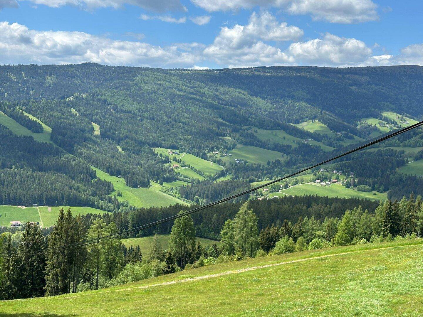 Weitläufige grüne Landschaft mit bewaldeten Bergen und Tälern unter einem klaren Himmel.