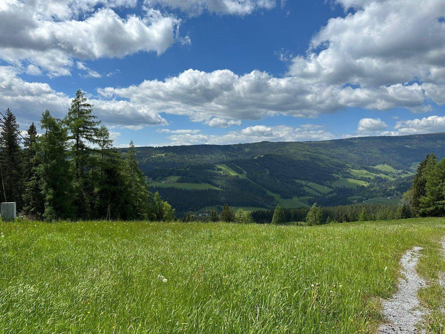 Üppige grüne Wiese mit einem Pfad, der sich in die weite Berglandschaft erstreckt.
