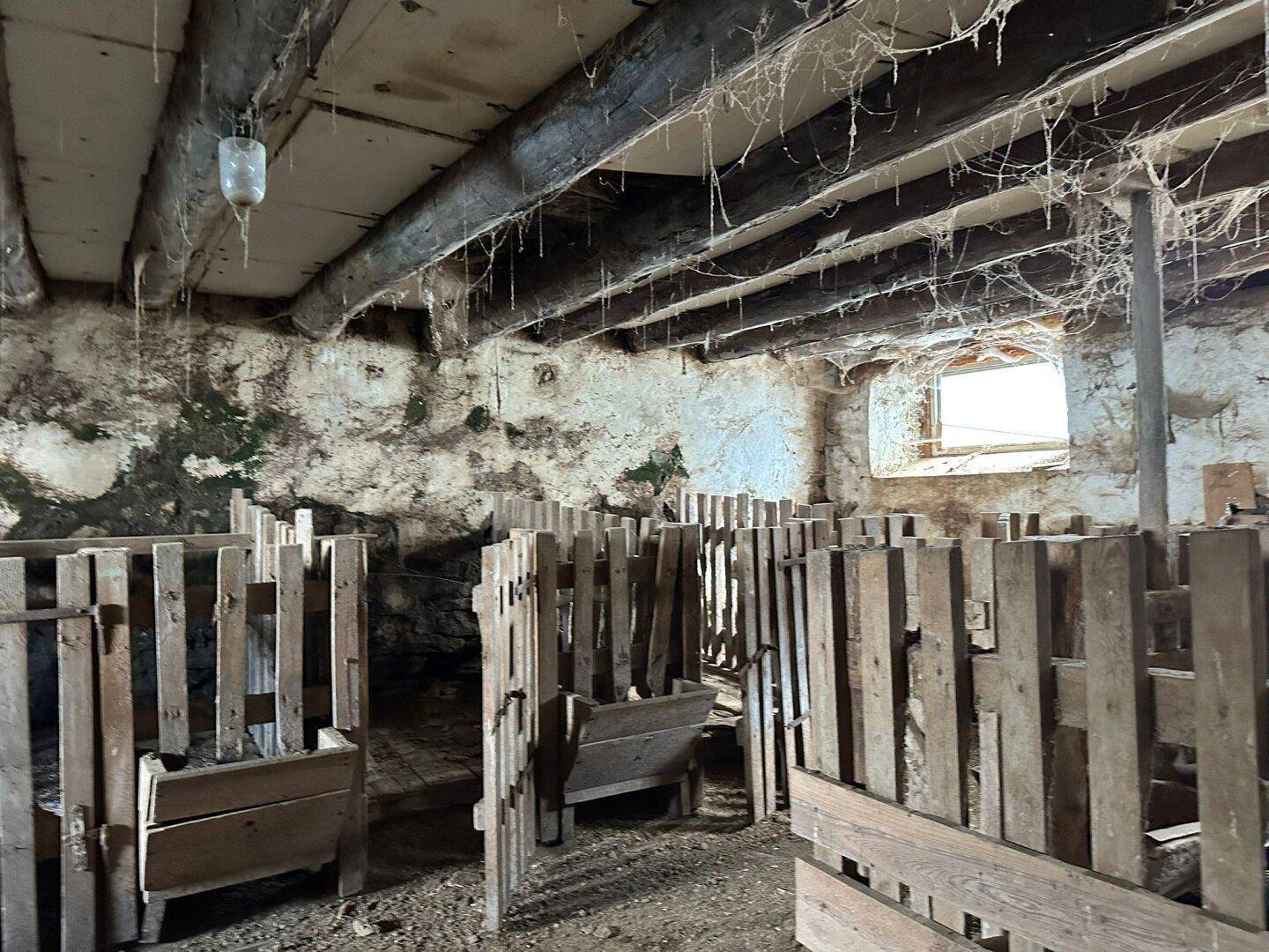 Alter Stall oder Scheune mit Holzkäfigen, sichtbaren Deckenbalken, Spinnweben und einem kleinen Fenster.