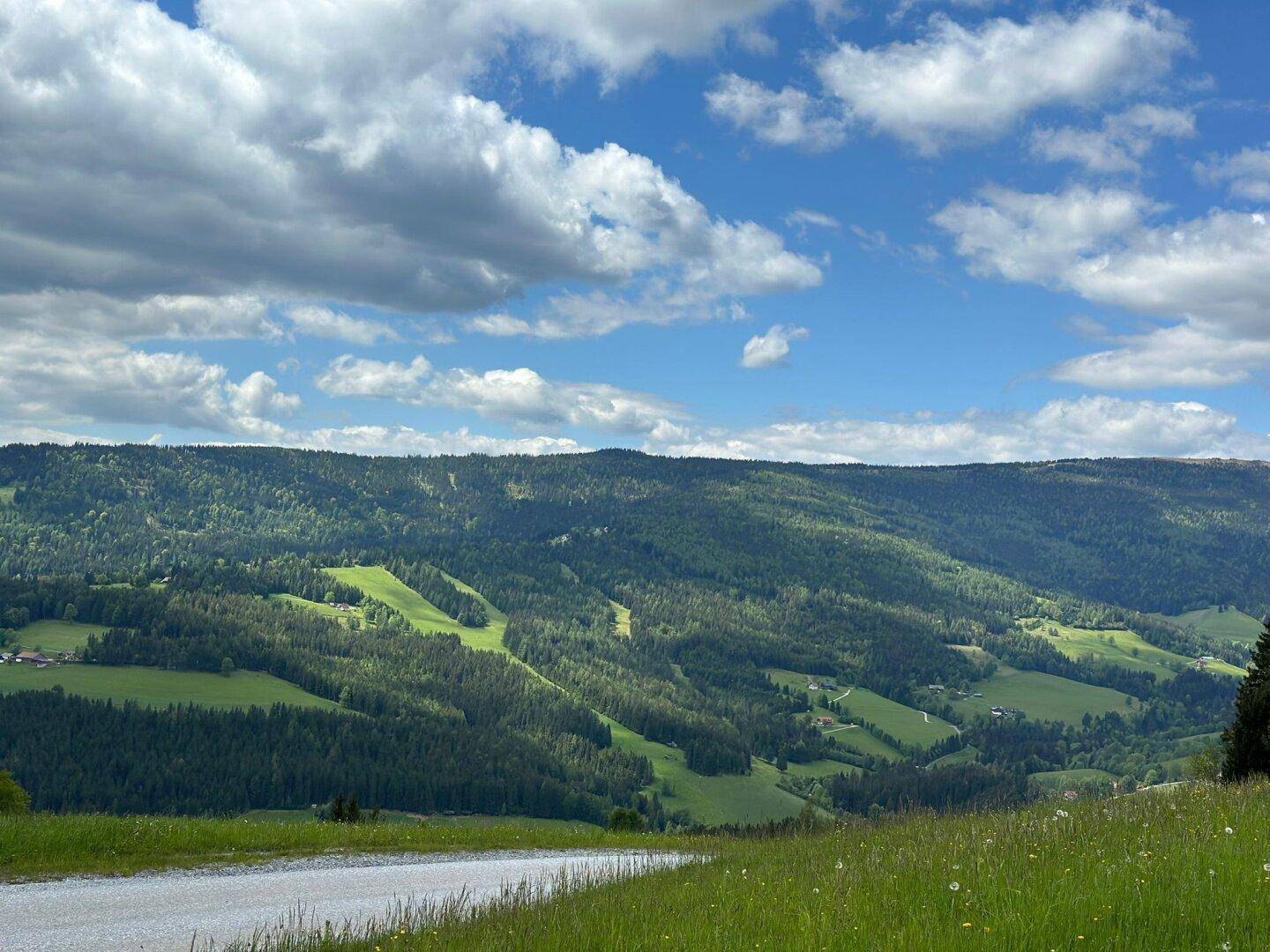 Malerische grüne Berglandschaft mit einem Feldweg im Vordergrund unter einem blauen Himmel.