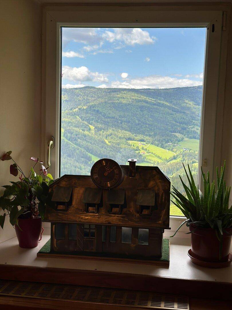 Fenster mit weitem Blick auf die grüne Berglandschaft, dekoriert mit Zimmerpflanzen.
