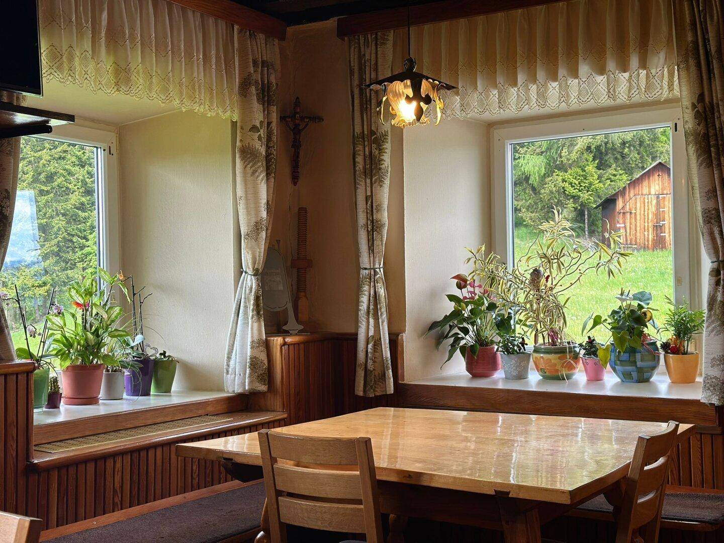 Heller Essbereich mit Holztisch, Fensterbänken voller Pflanzen und Blick ins Grüne.