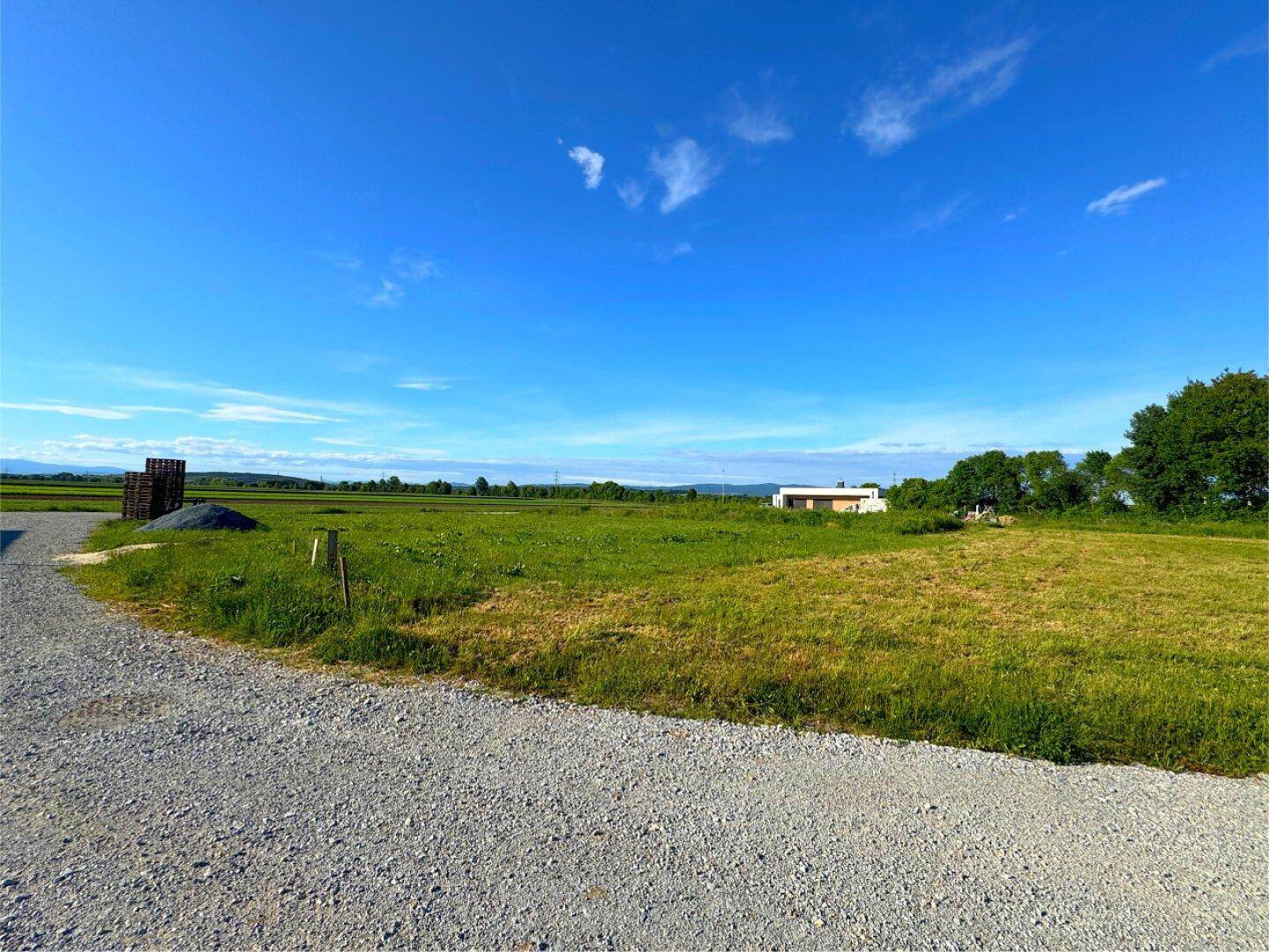 Weitläufige grüne Landschaft mit einem Haus in der Ferne unter einem klaren blauen Himmel.