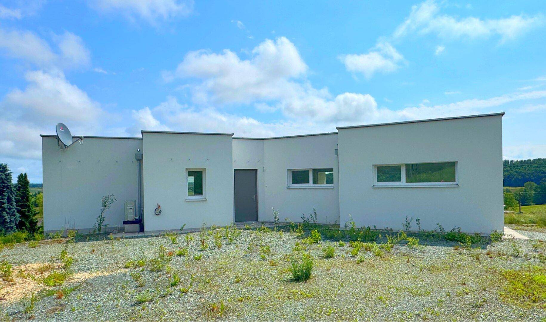 Seitenansicht des modernen Hauses mit Eingangstür und Fenstern, umgeben von Natur.