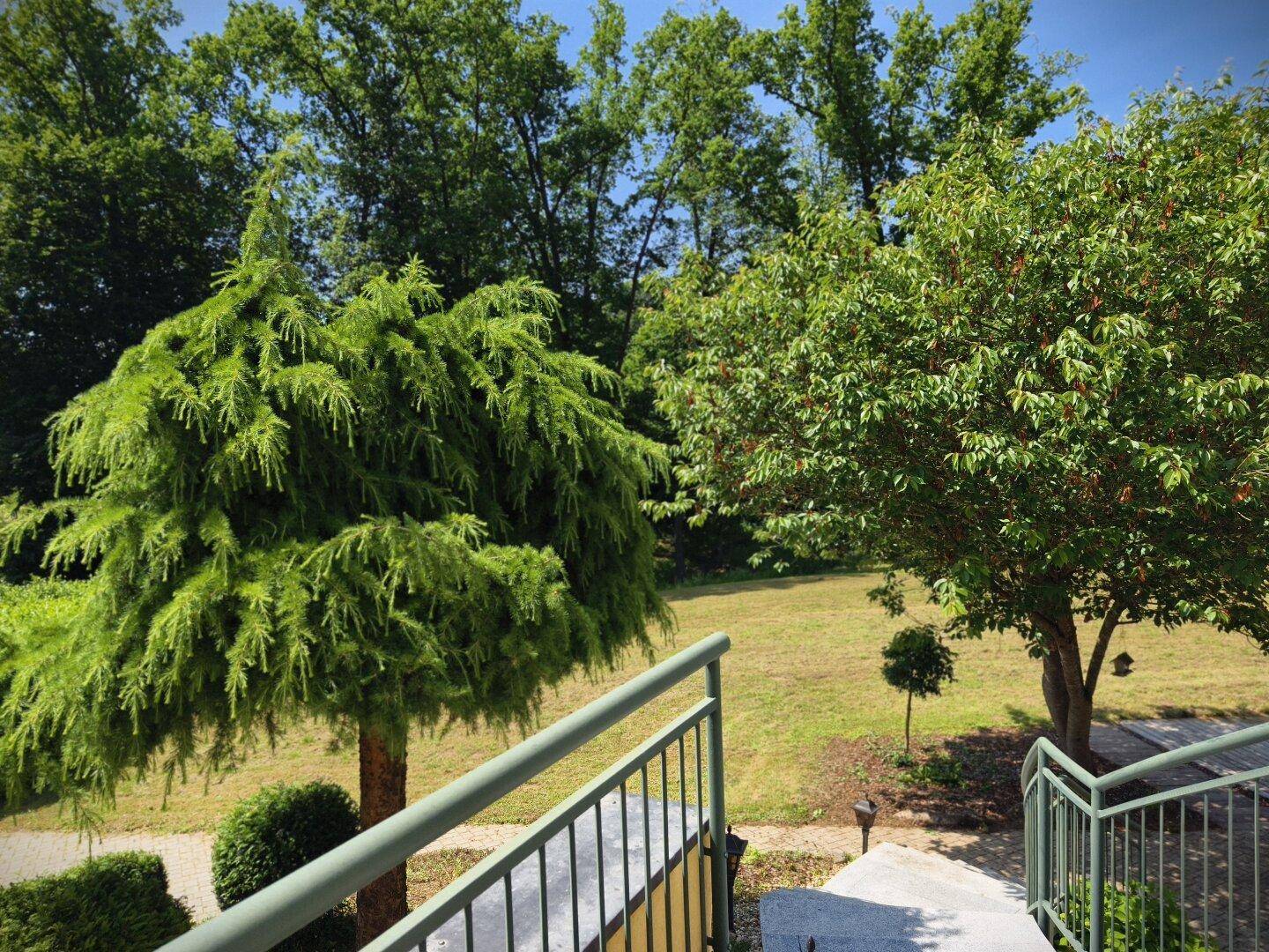 Grüner Gartenbereich mit verschiedenen Bäumen und einem Geländer im Vordergrund, unter blauem Himmel.