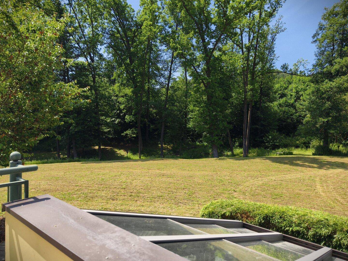 Weitläufige Rasenfläche mit hohen Bäumen und Wald im Hintergrund, gesehen von einer Terrasse.