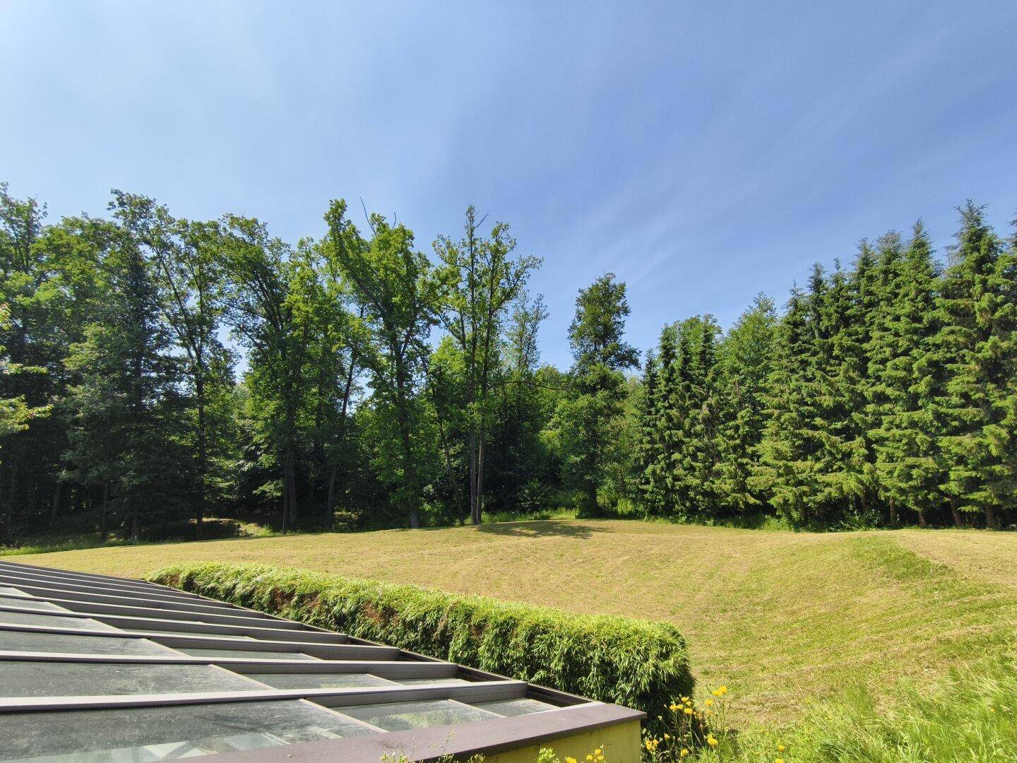 Große Rasenfläche mit dichtem Wald im Hintergrund und einem Glasdach im Vordergrund.