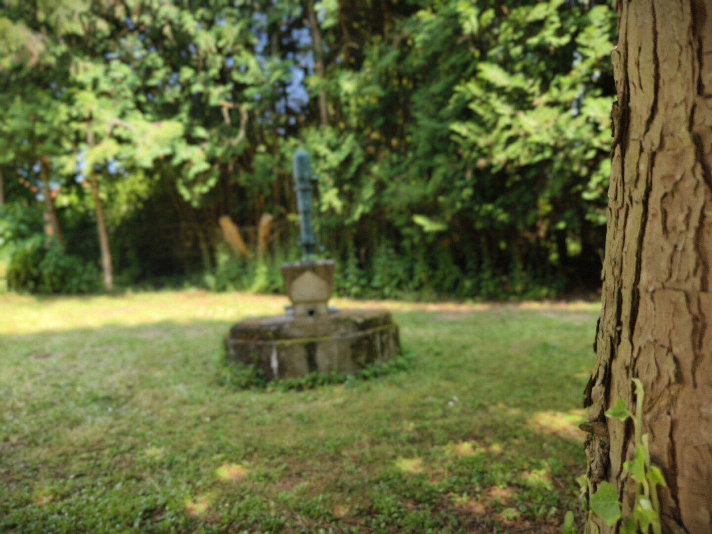 Alter Wasserbrunnen in einem grünen Gartenbereich, umgeben von Bäumen und Gras.