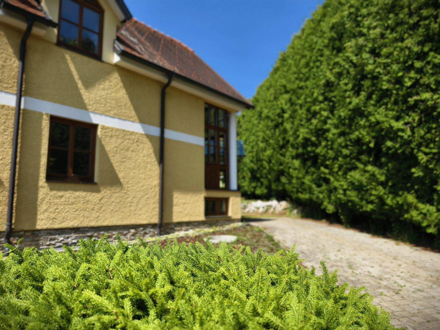 Seitenansicht des Hauses mit gepflasterter Auffahrt und einer hohen, gepflegten Hecke.