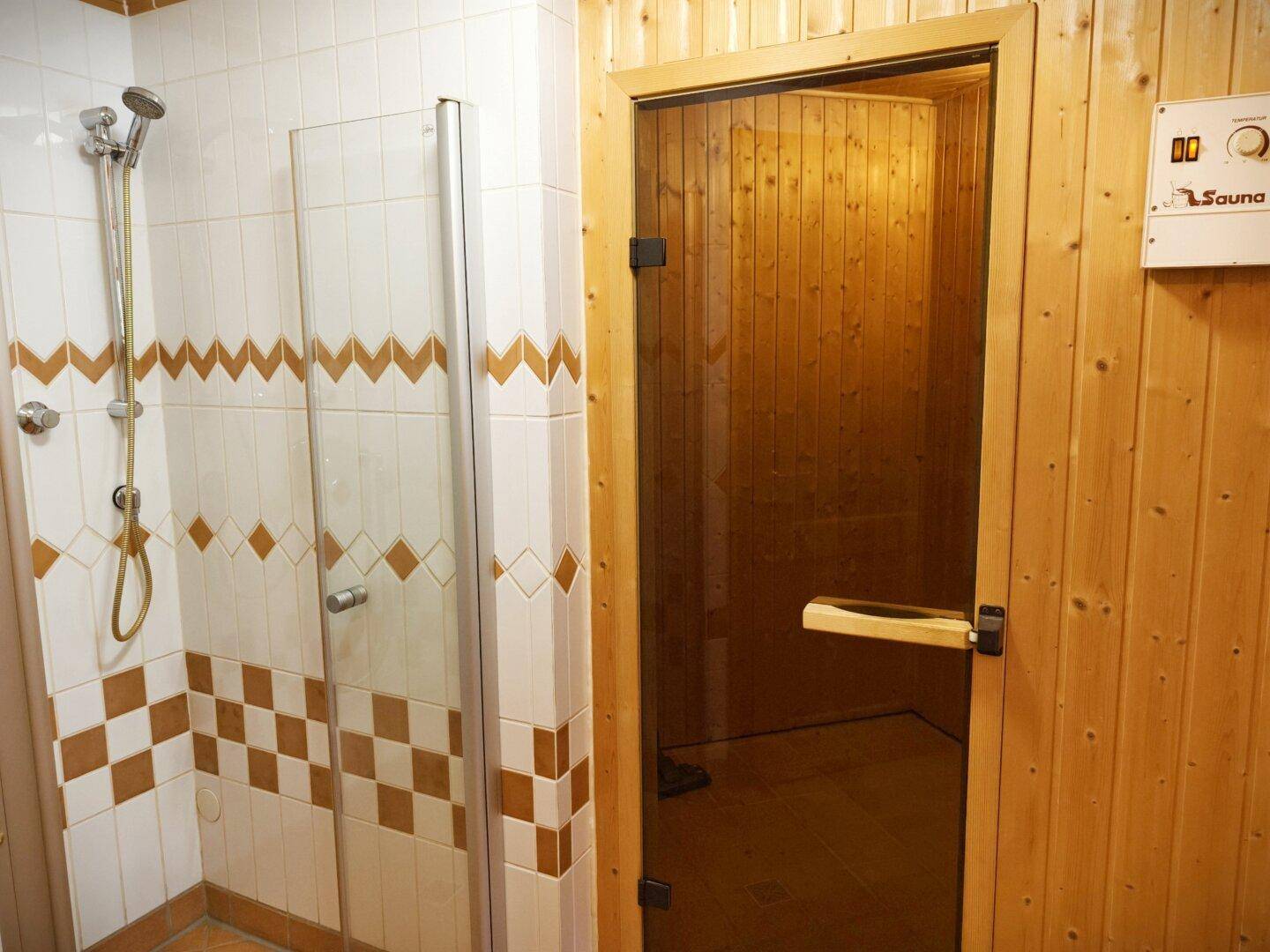 Badezimmer mit Duschkabine, Holzverkleidung und integrierter Sauna.