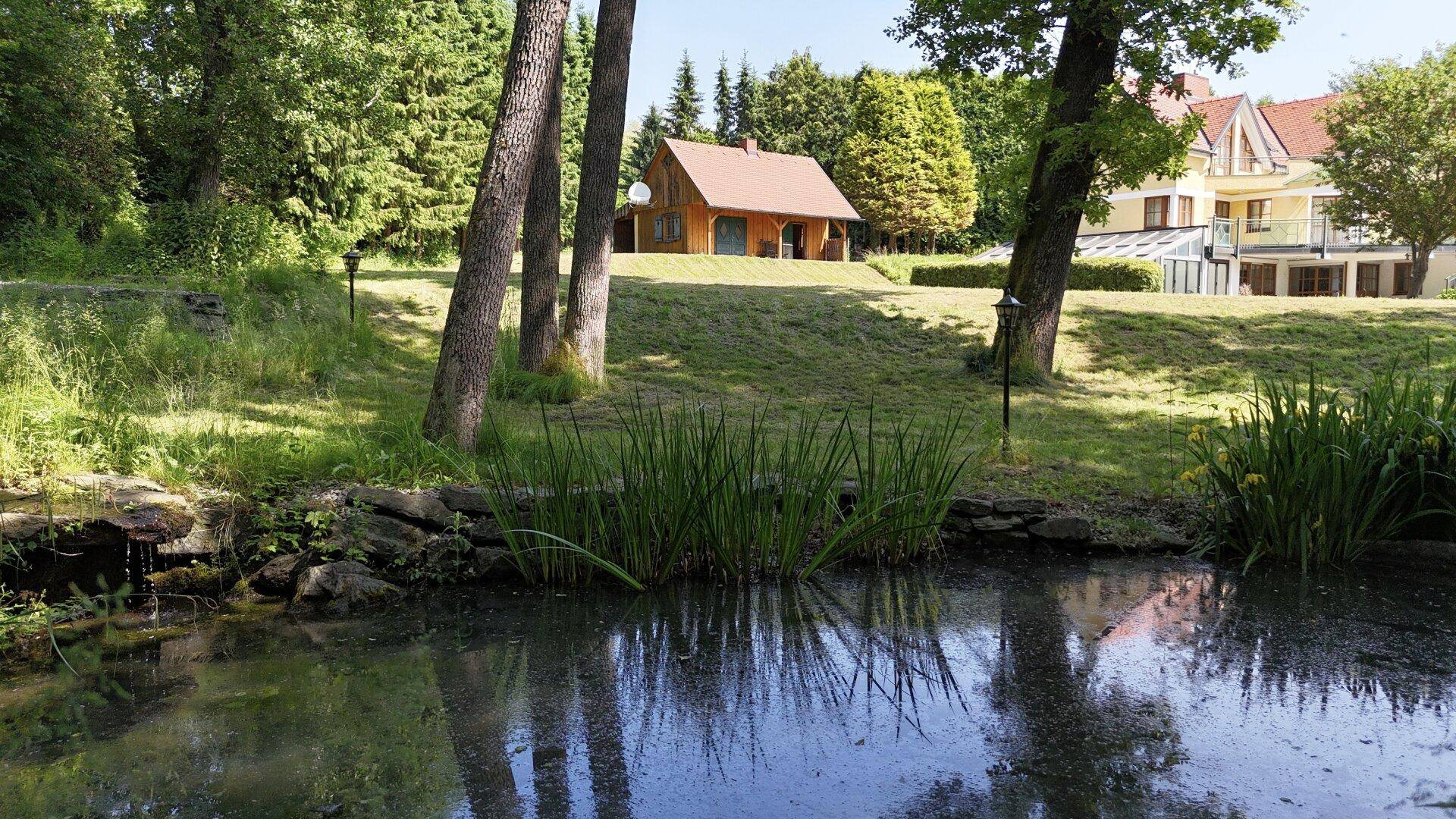 Großer Teich mit Schilf und einem Holzhaus im Hintergrund, umgeben von einer weitläufigen Rasenfläche.