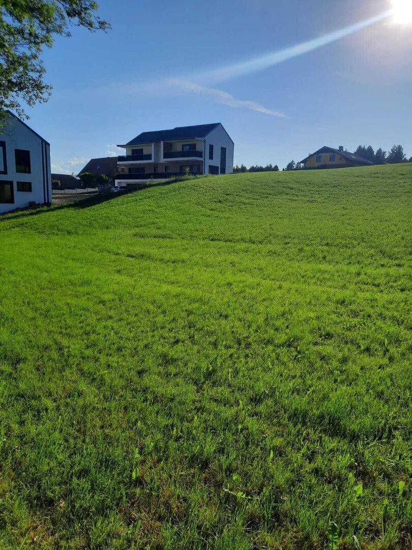 Weitläufige grüne Wiese mit einem modernen Haus im Hintergrund unter strahlend blauem Himmel.