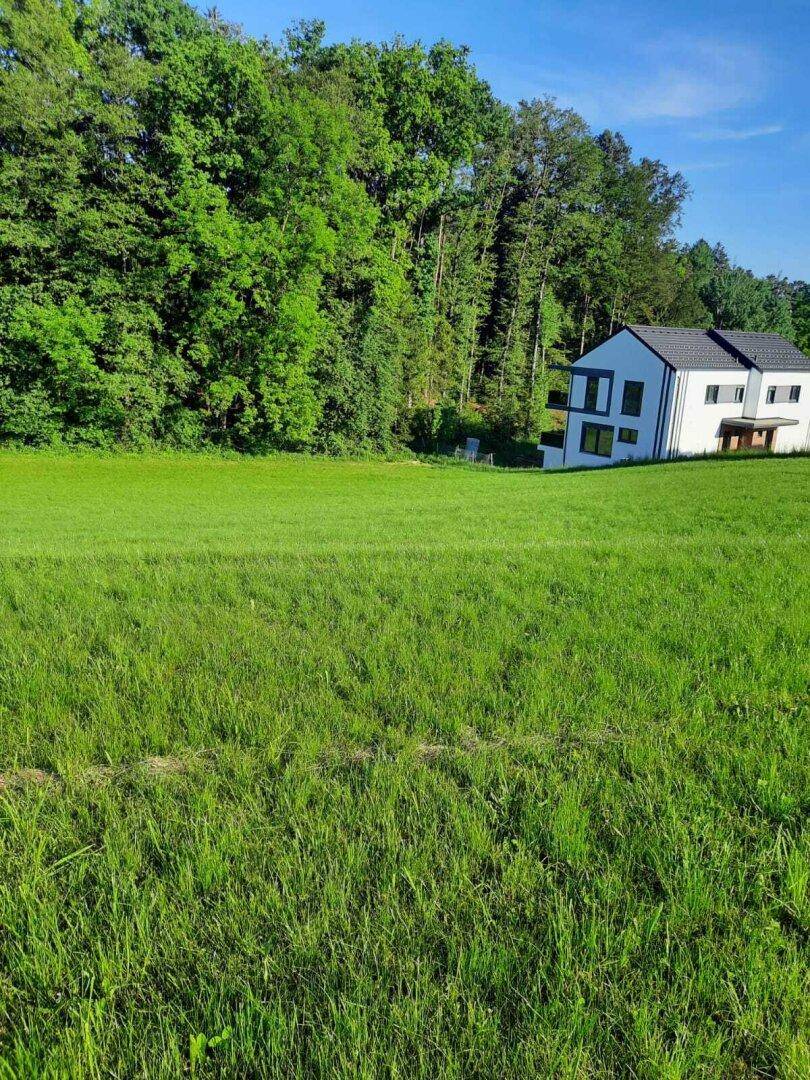 Weitläufige grüne Wiese vor einem dichten Wald mit einem modernen Wohnhaus am rechten Bildrand.
