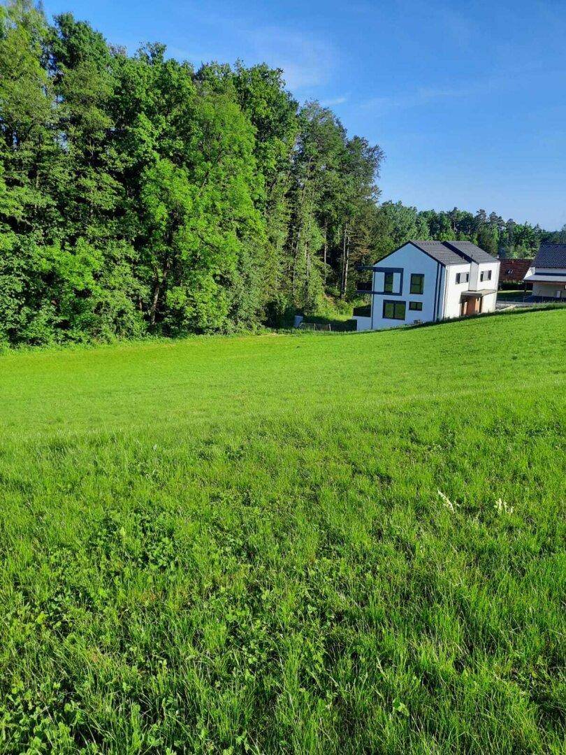 Grüne Wiese mit angrenzendem Wald und einem modernen, weiß gestrichenen Haus unter blauem Himmel.