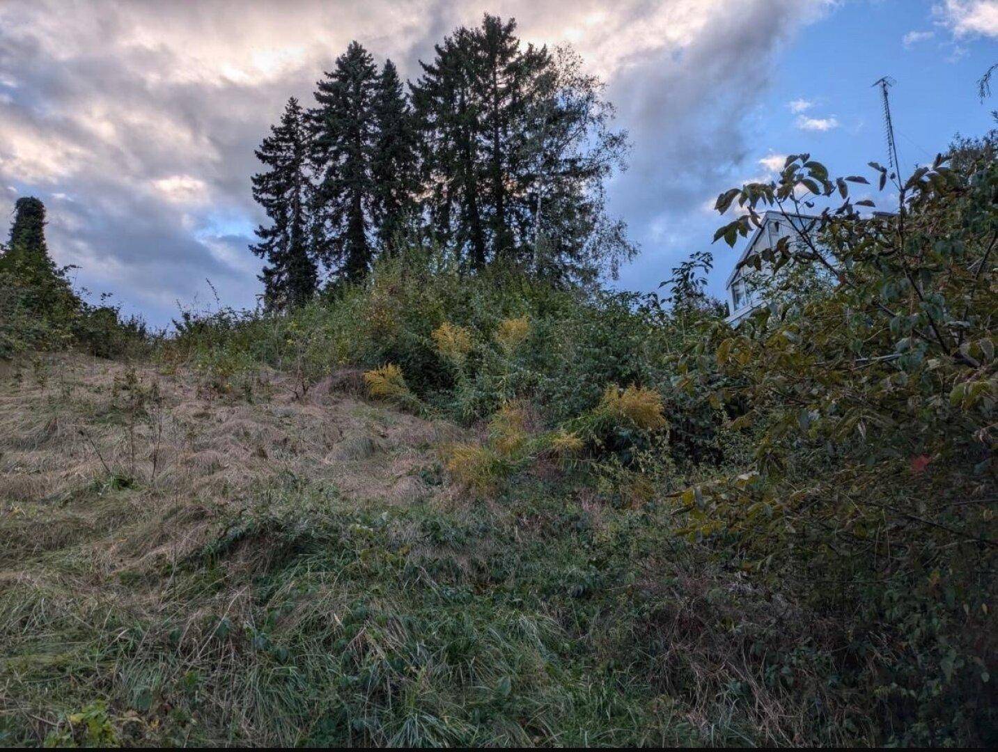 Slide 8