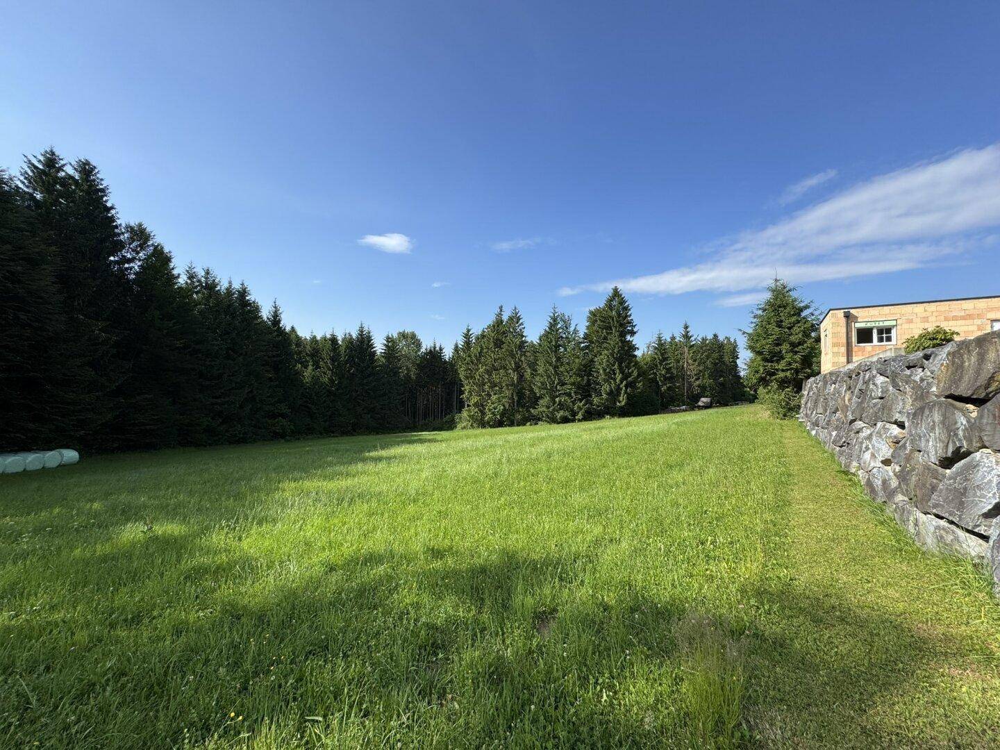 Weitläufige grüne Fläche mit Waldrand und einer markanten Steinmauer unter blauem Himmel.